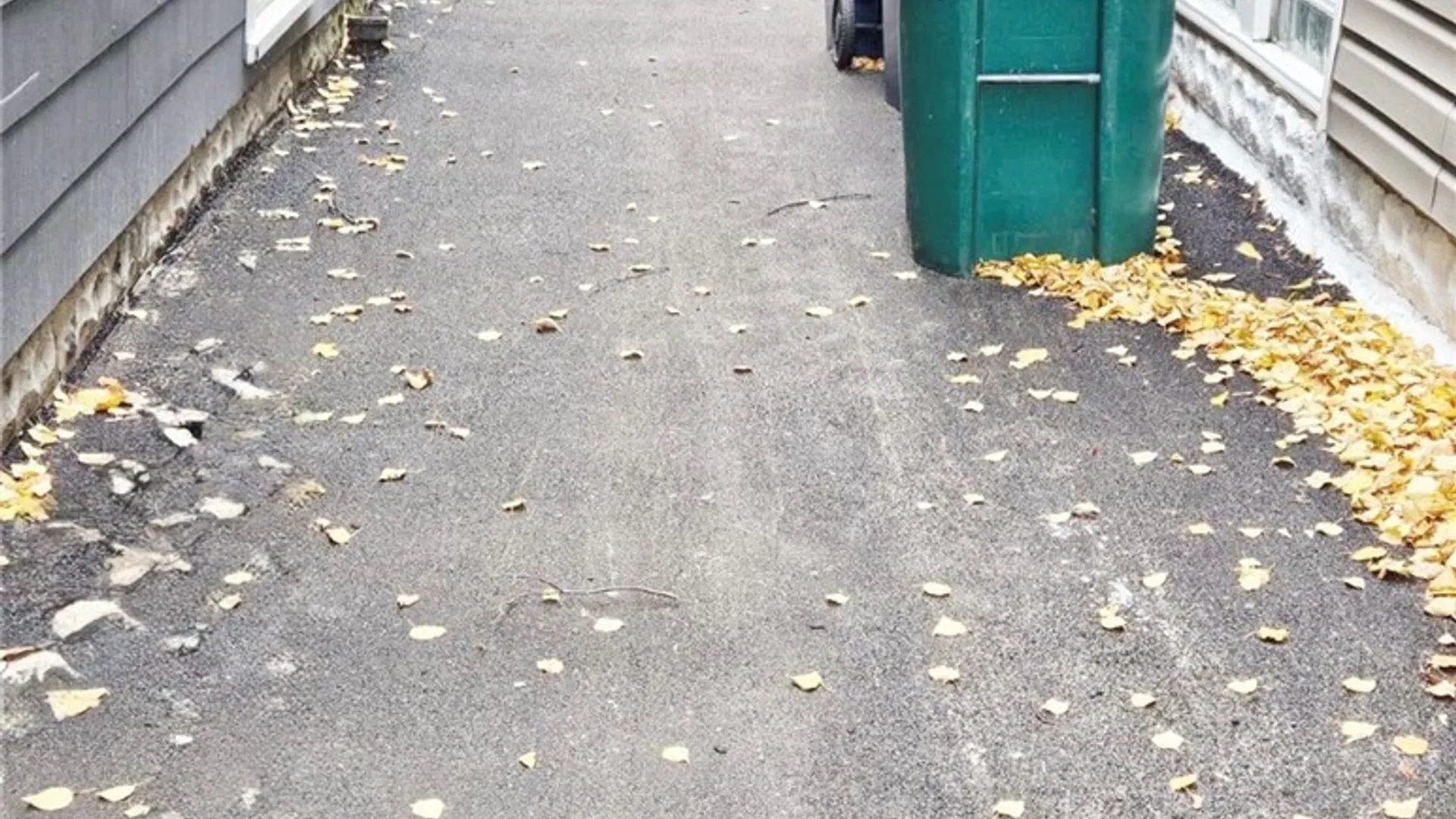 Property at 77 Clarence Avenue, Buffalo, NY 14215 11