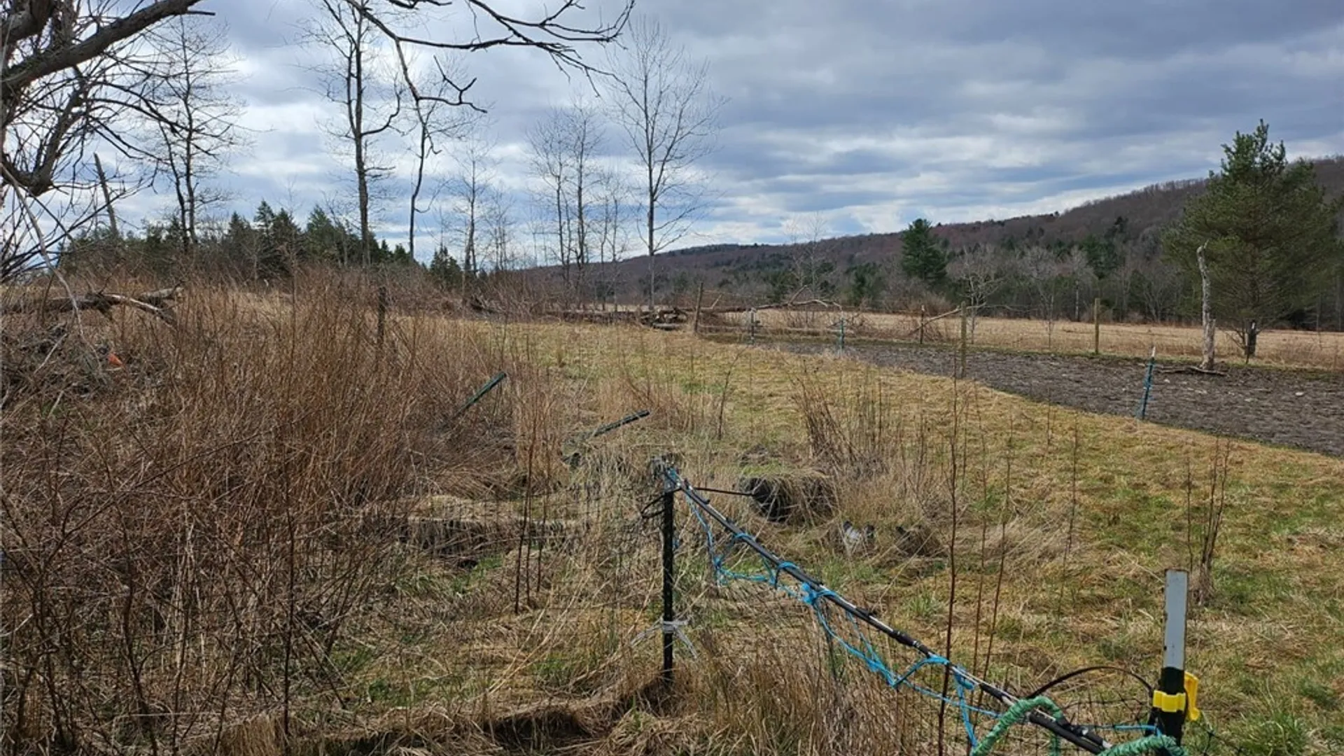 Property at 795 Tiona Road, Maine, NY 13811 24