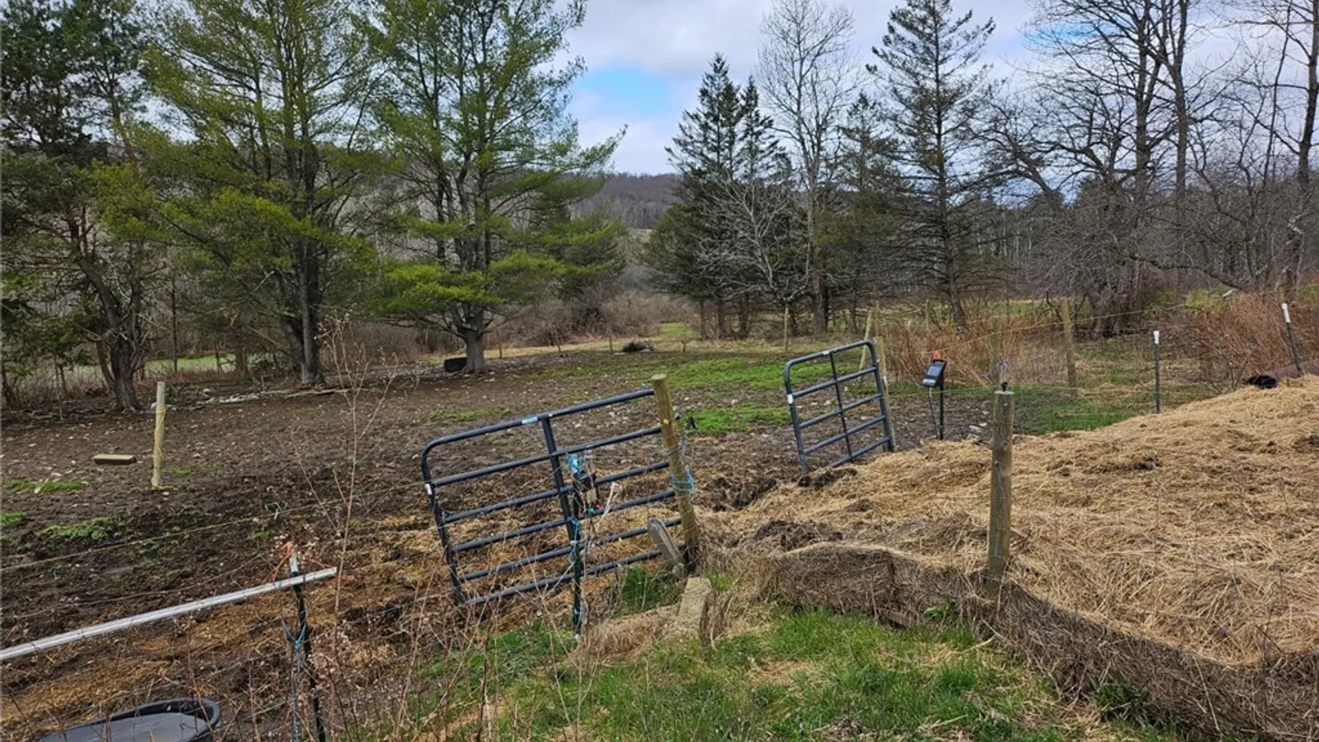 Property at 795 Tiona Road, Maine, NY 13811 32