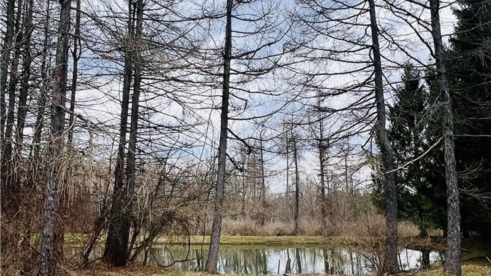 Property at 32 Deer Pond Acres, Orangeville, NY 14569 8