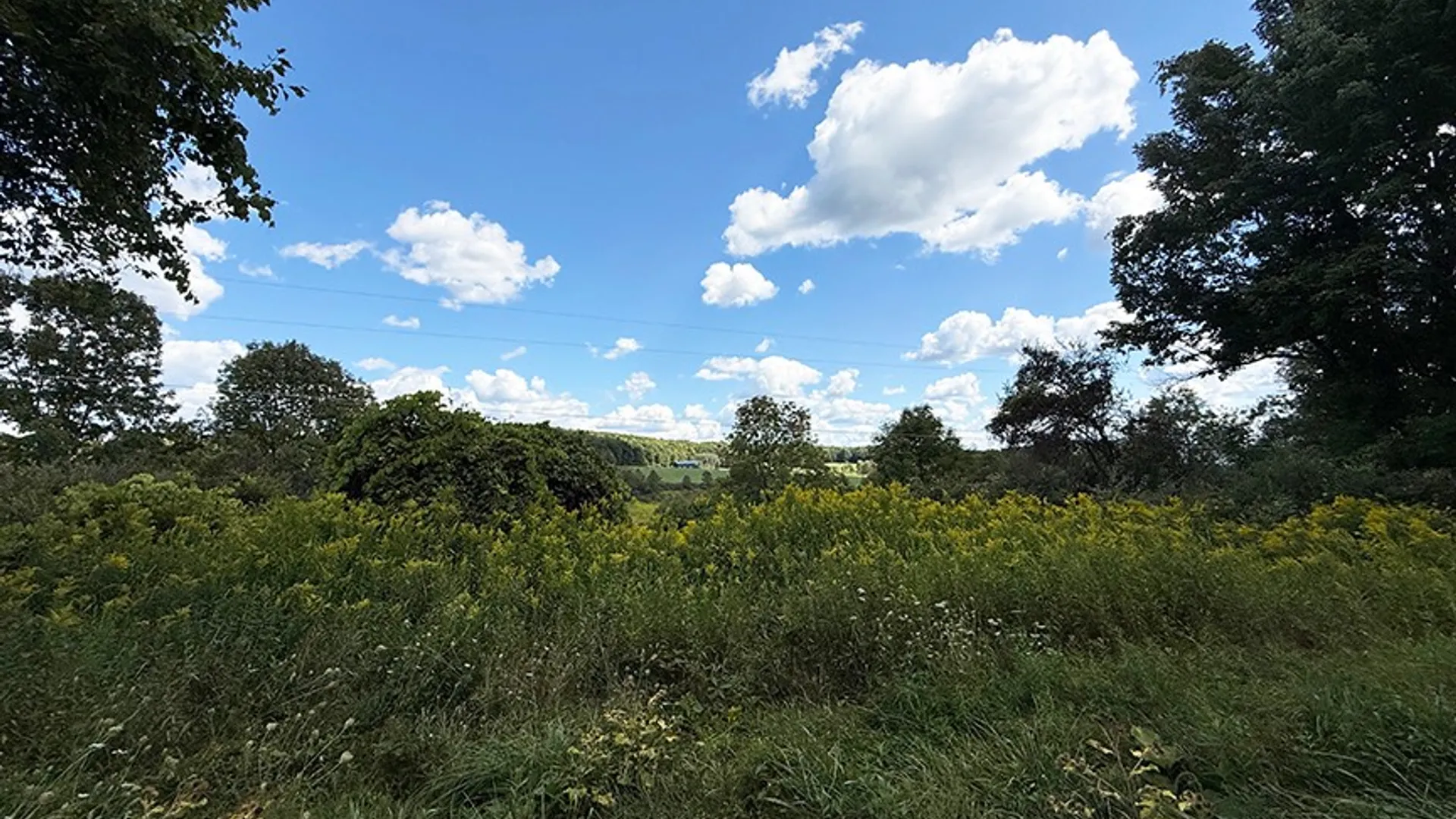 Property at L 9-11 Armstrong Rd & Co Hwy 28, Cooperstown, NY 13326 2