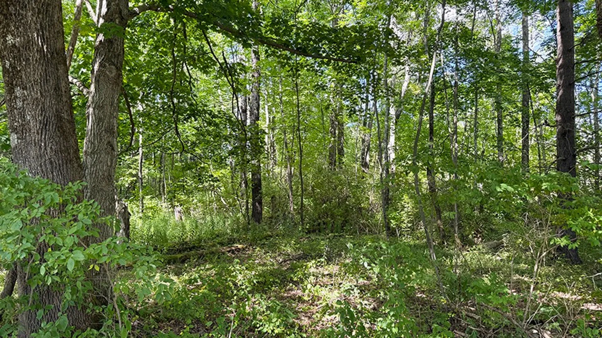 Property at L 9-11 Armstrong Rd & Co Hwy 28, Cooperstown, NY 13326 3