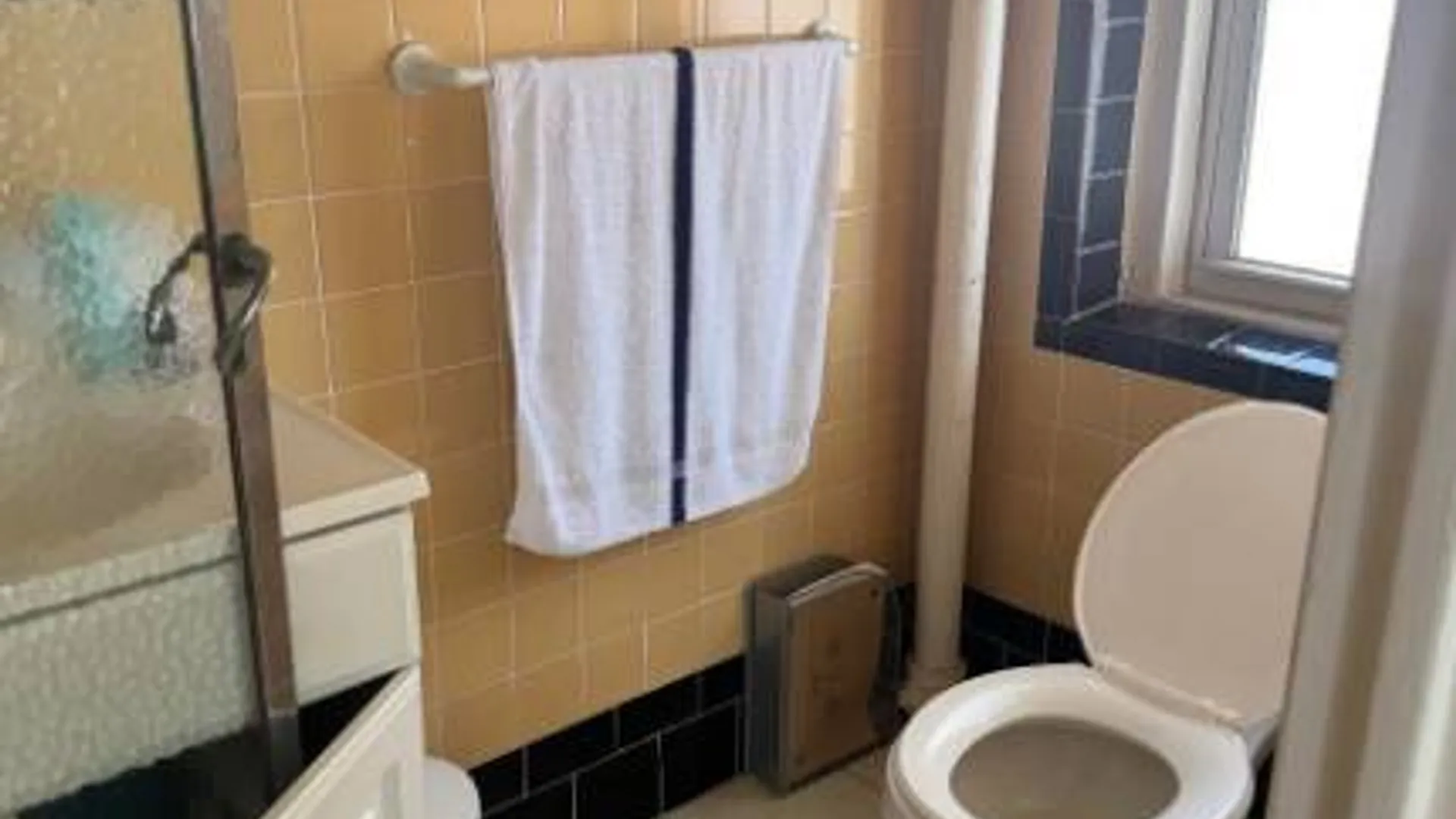 Property at 141-25 Northern Blvd, Flushing, NY 11354 14