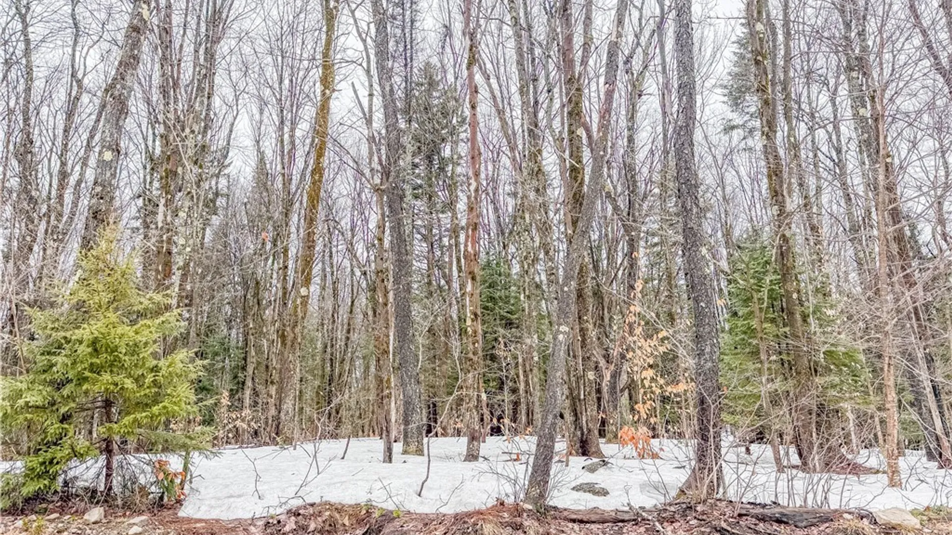 Property at 1715 Olin Road, Montague, NY 13367 11