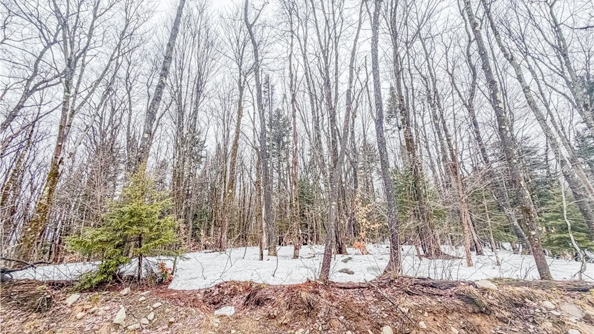 Property at 1715 Olin Road, Montague, NY 13367 12