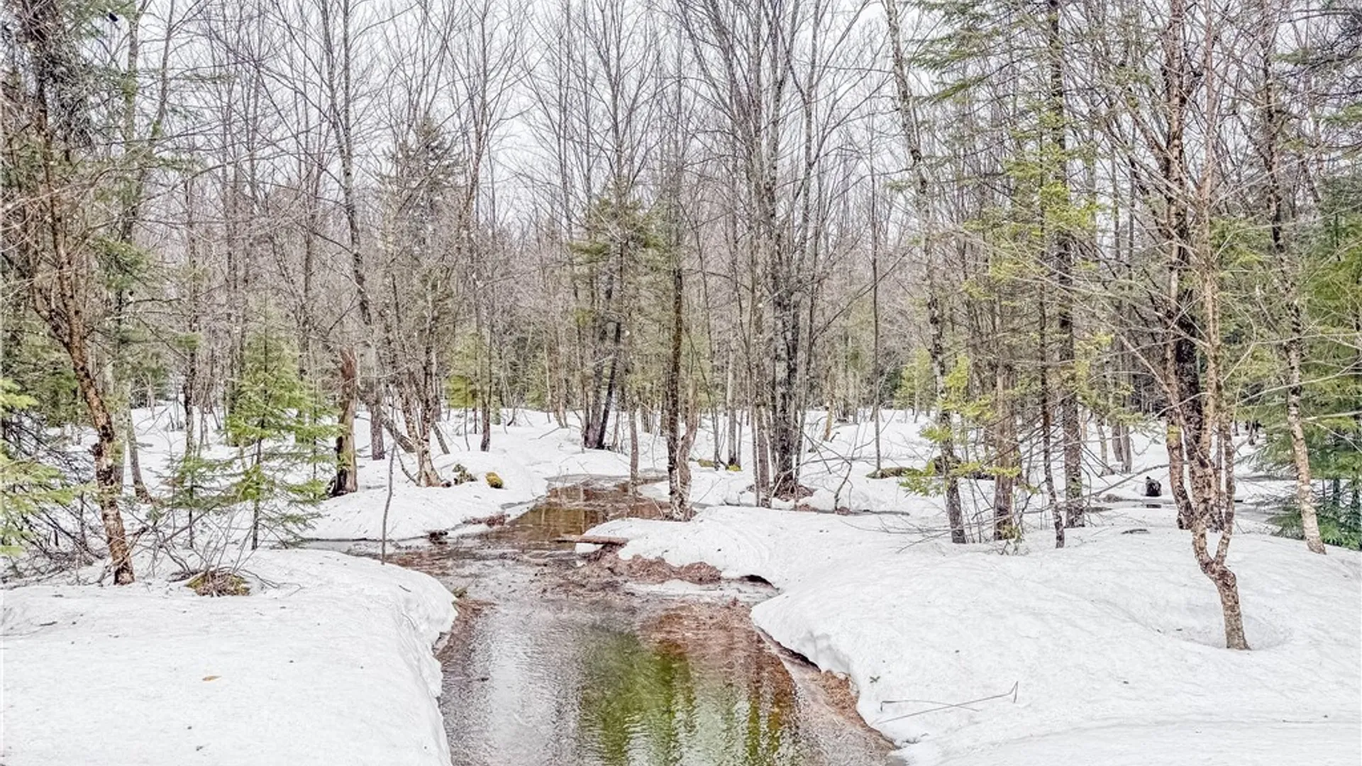 Property at 1715 Olin Road, Montague, NY 13367 13