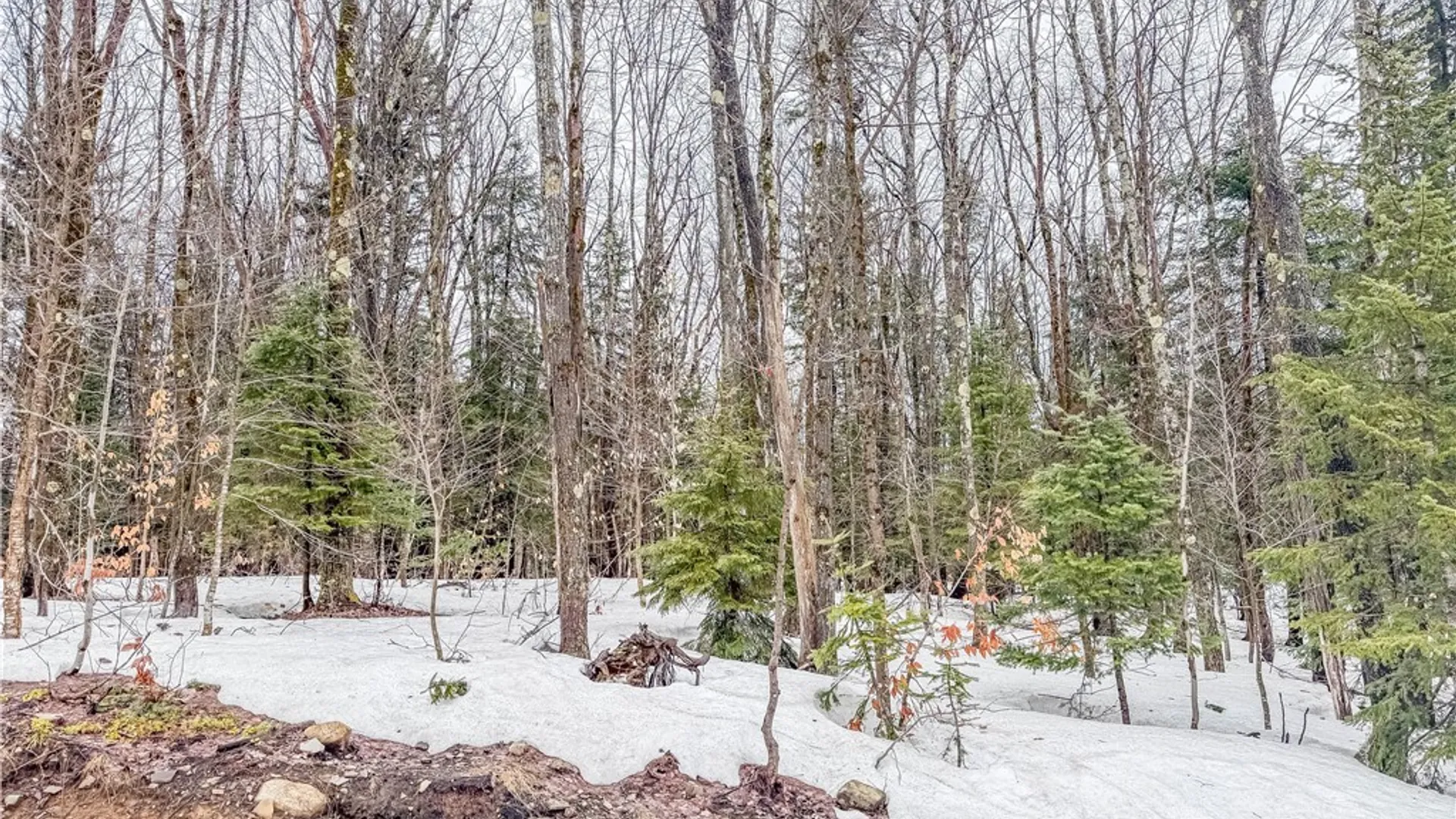 Property at 1715 Olin Road, Montague, NY 13367 9