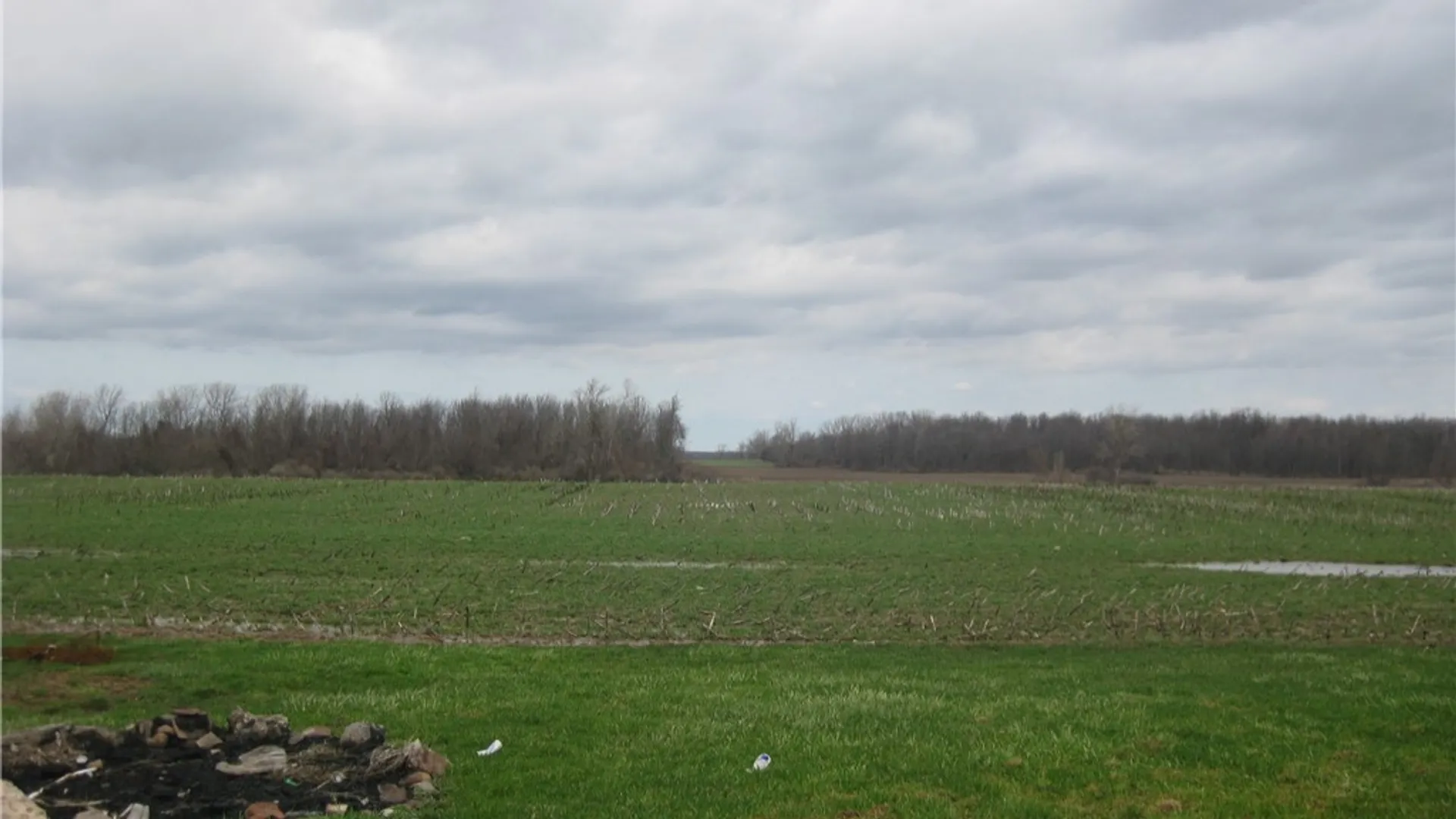 Property at 2095 Judge Road, Alabama, NY 14013 11