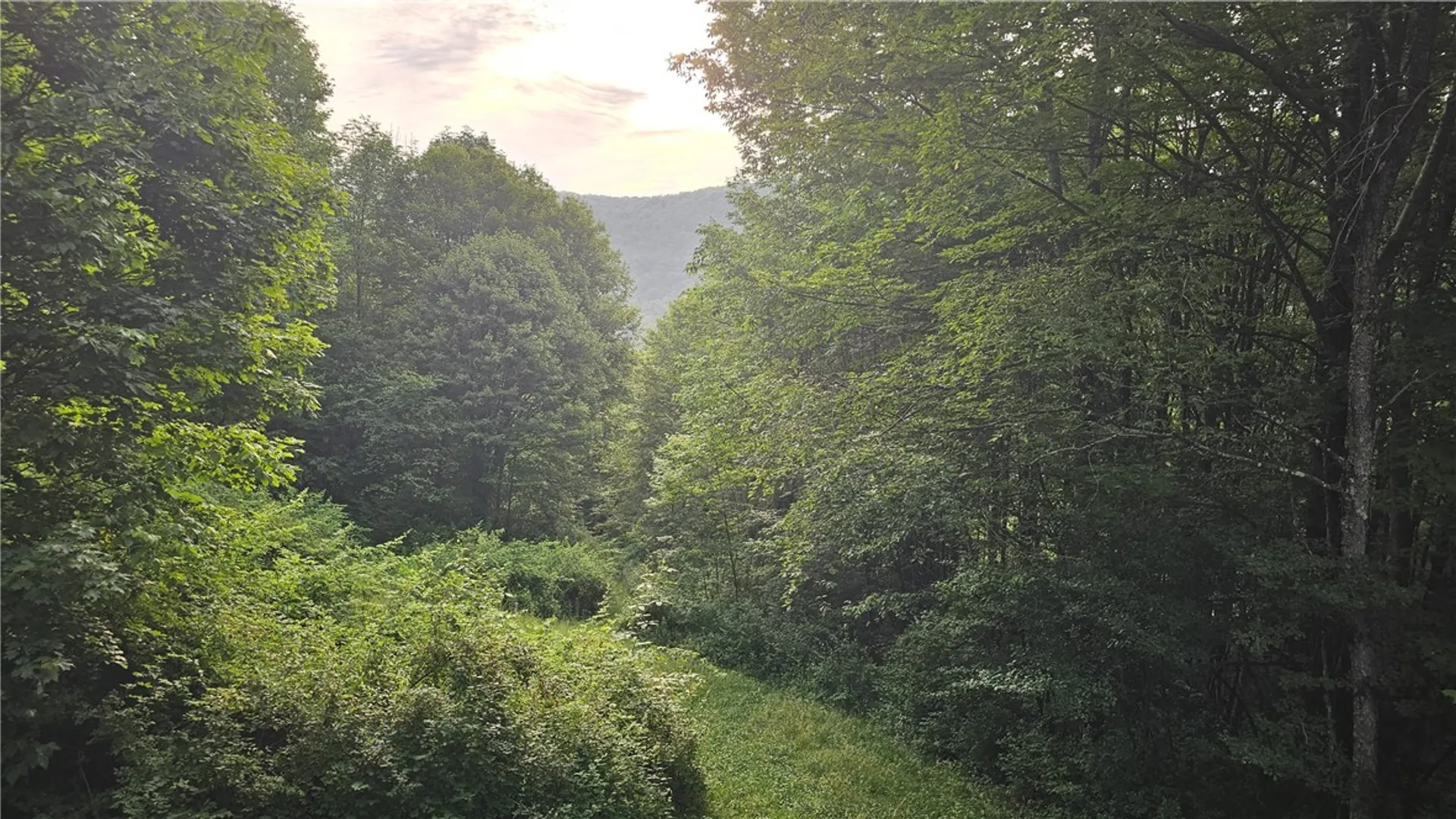 Property at 0 State Highway 8, Deposit, NY 13754 2