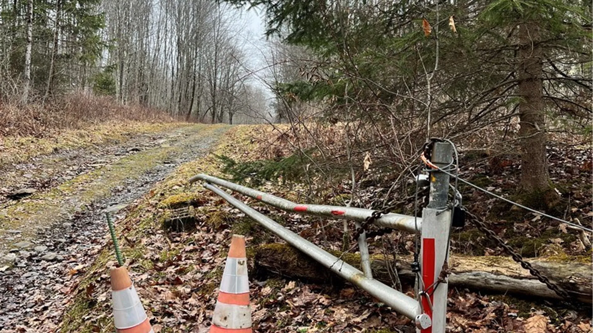Property at 0 State Highway 8, Deposit, NY 13754 23