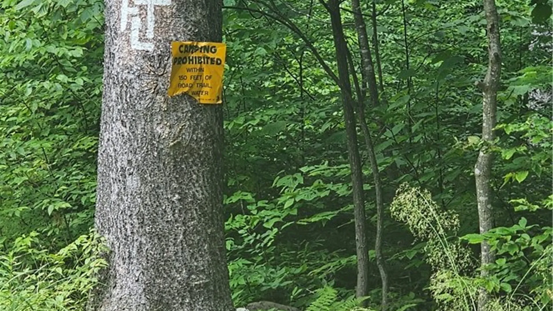 Property at 0 State Highway 8, Deposit, NY 13754 4