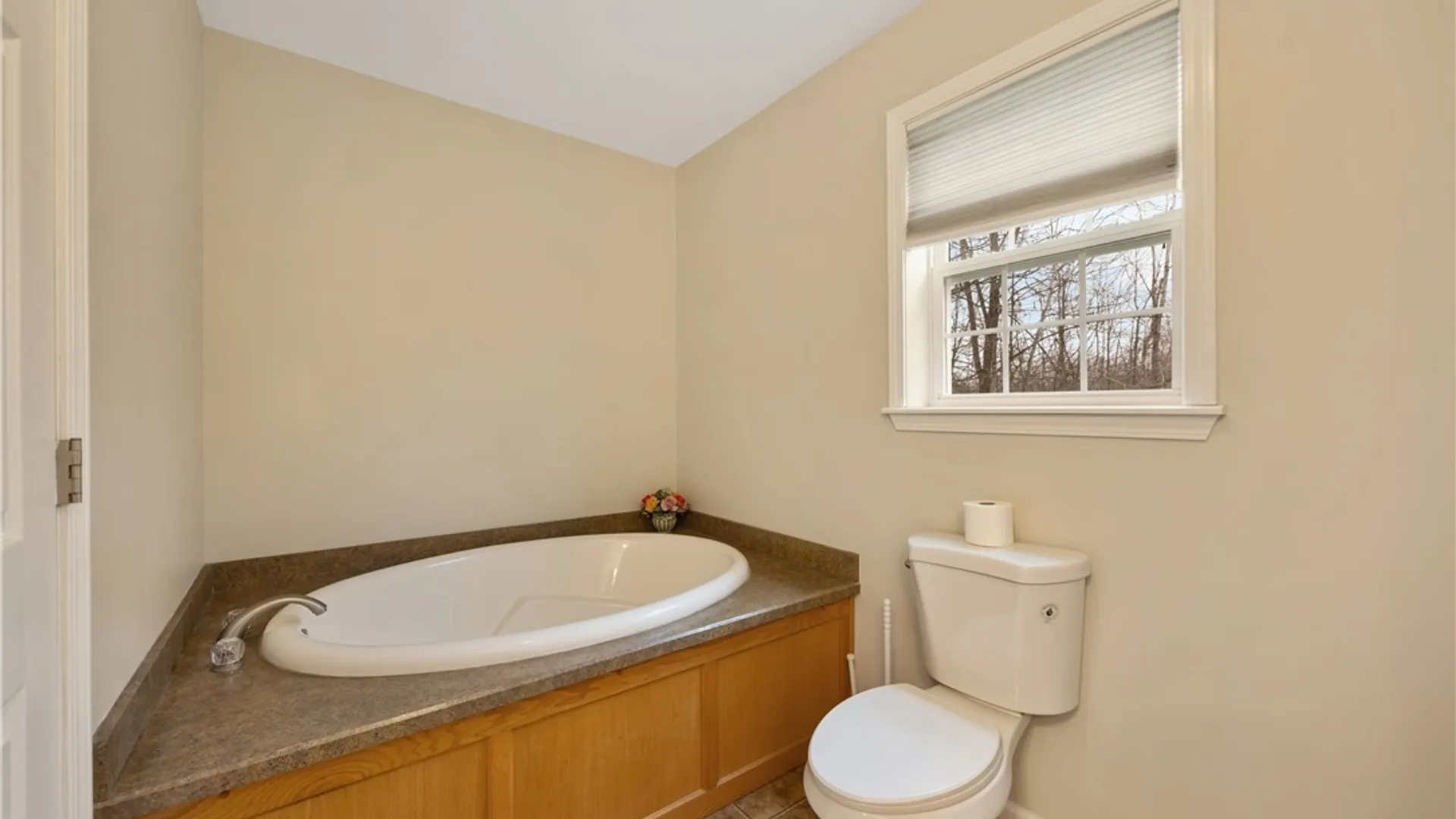 Property at 8759 Fergerson Road, Cicero, NY 13039 14