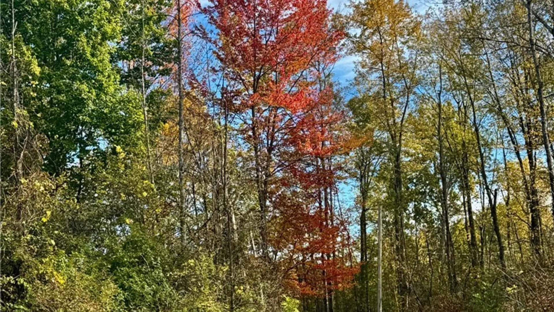 Property at 8759 Fergerson Road, Cicero, NY 13039 46