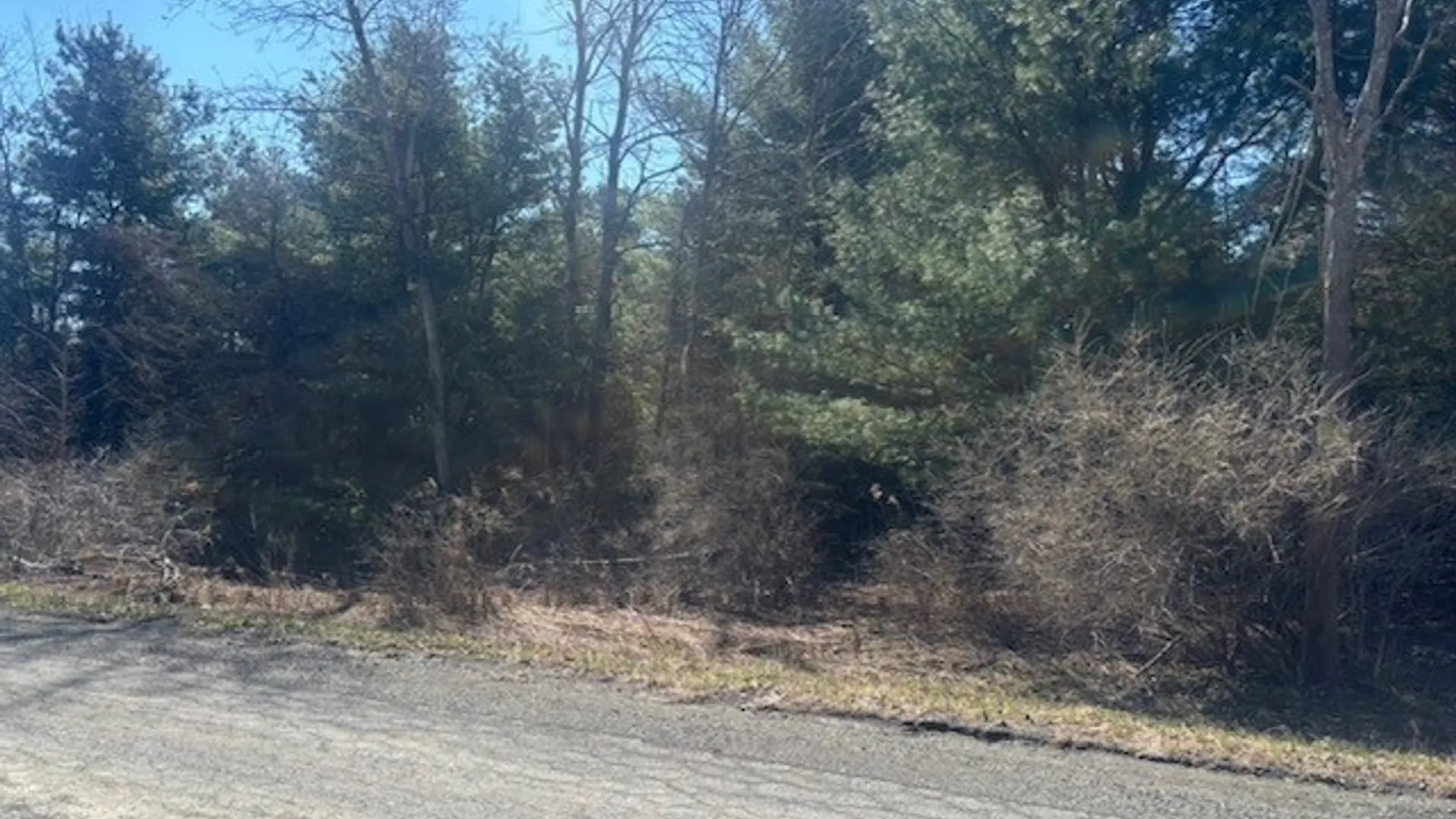 Property at 0 Hill Road, Danby, NY 14850 2