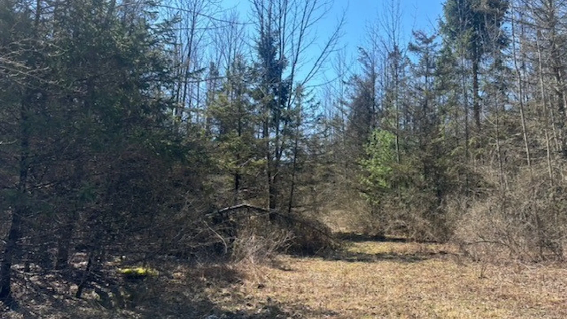 Property at 0 Hill Road, Danby, NY 14850 3