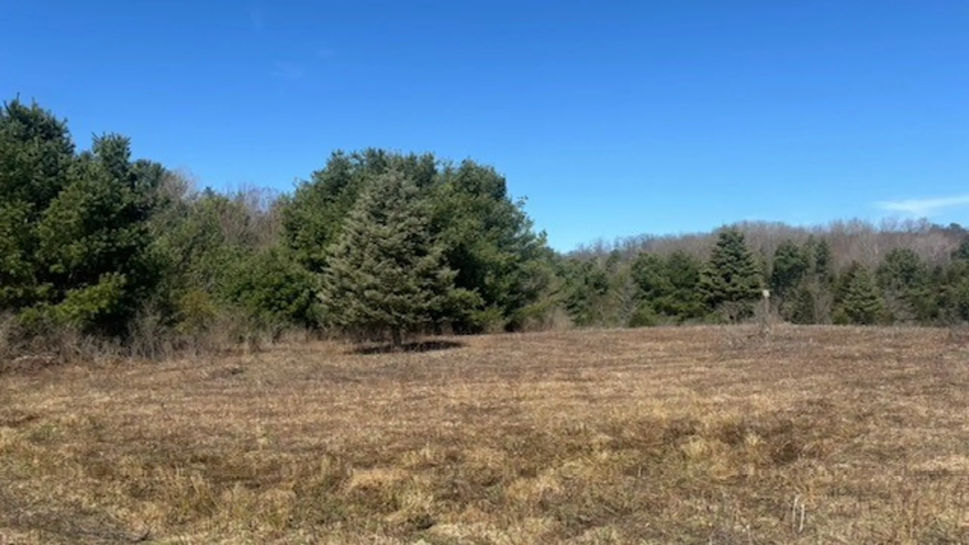 Property at 0 Hill Road, Danby, NY 14850 2