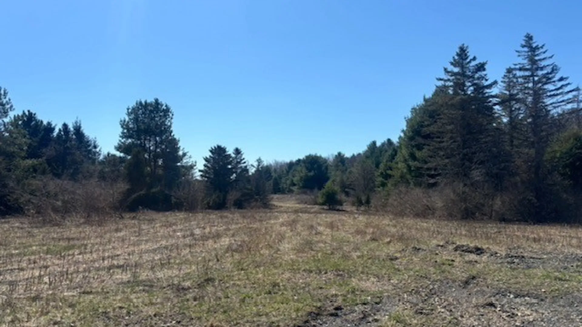 Property at 0 Hill Road, Danby, NY 14850 3