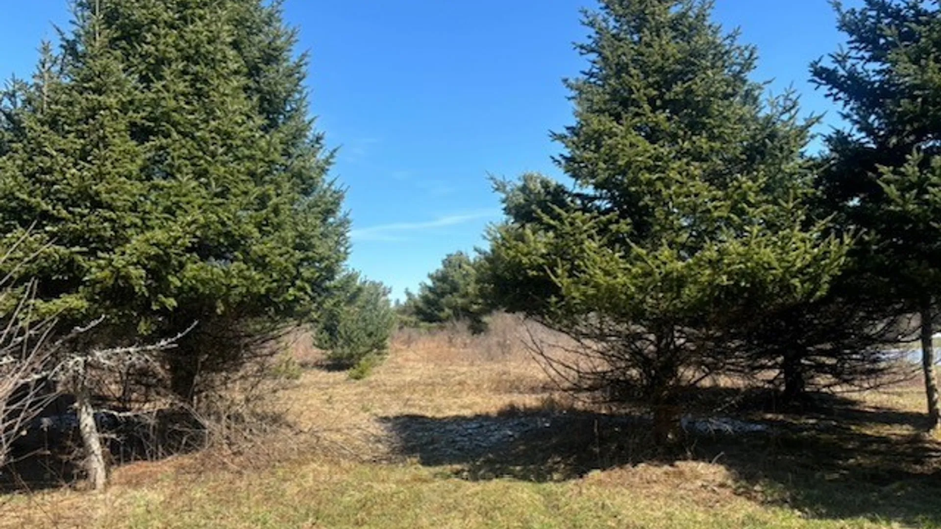 Property at 0 Hill Road, Danby, NY 14850 6