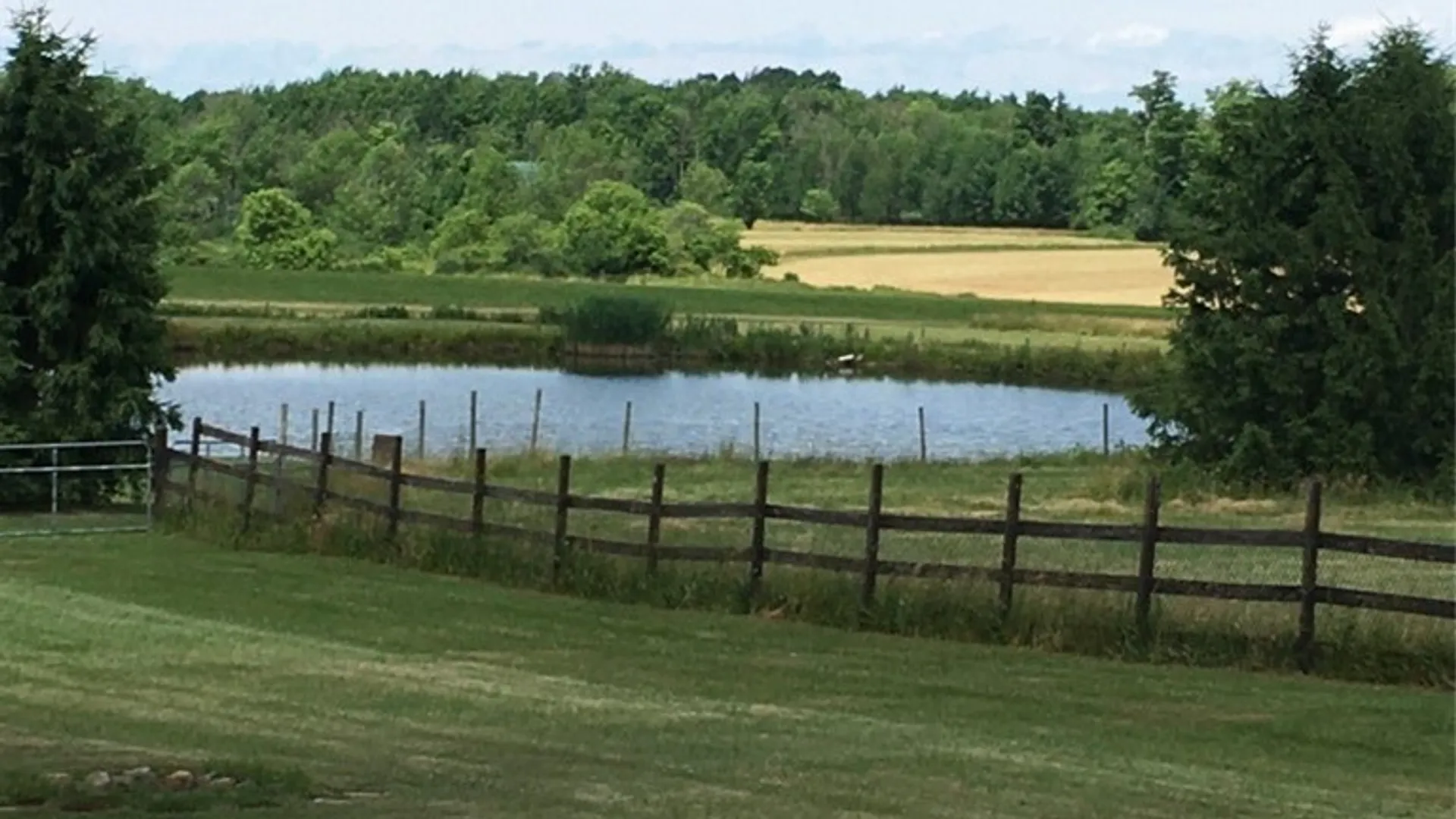 Property at 7288 Center Road, Colden, NY 14170 44