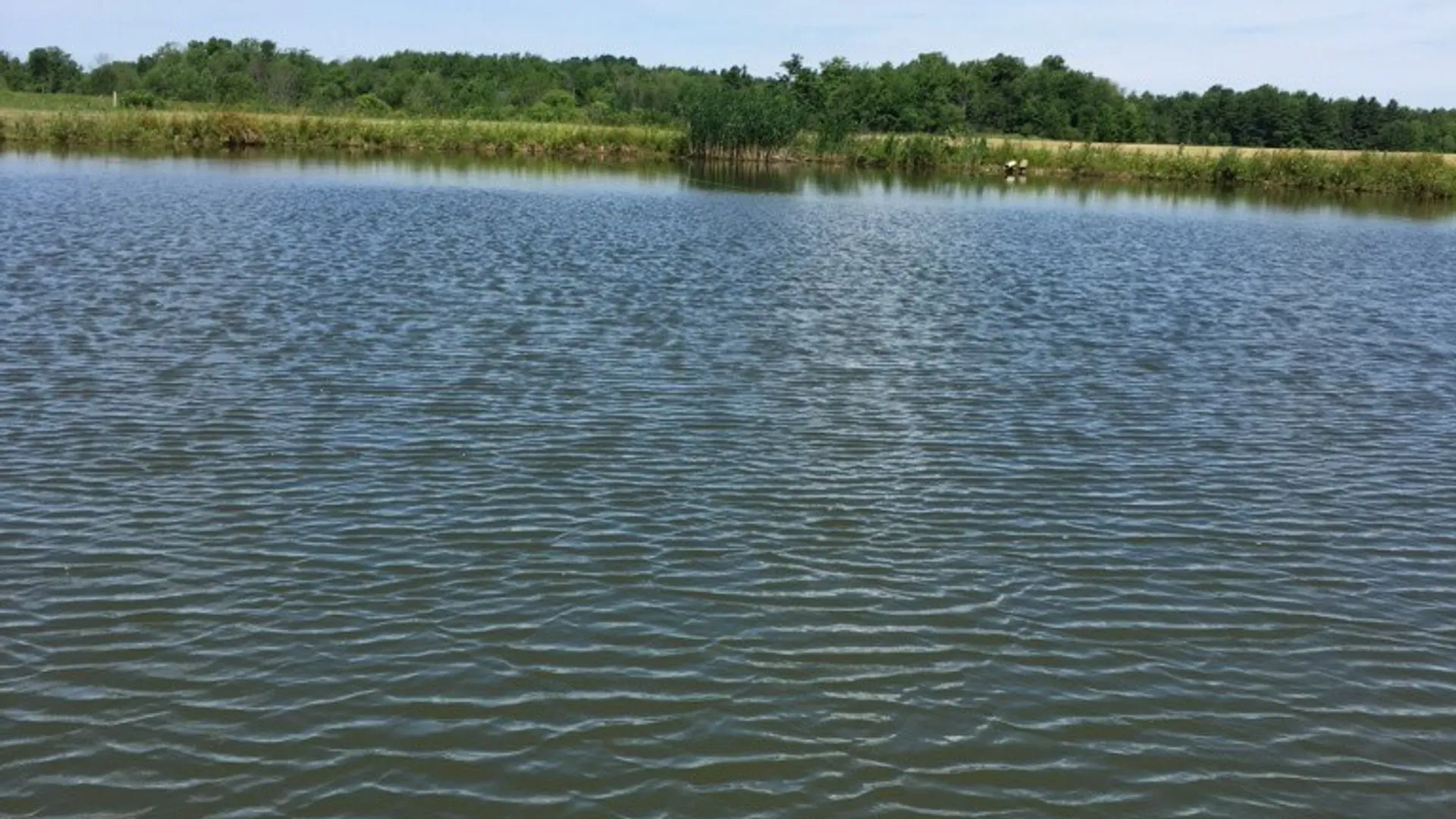 Property at 7288 Center Road, Colden, NY 14170 45