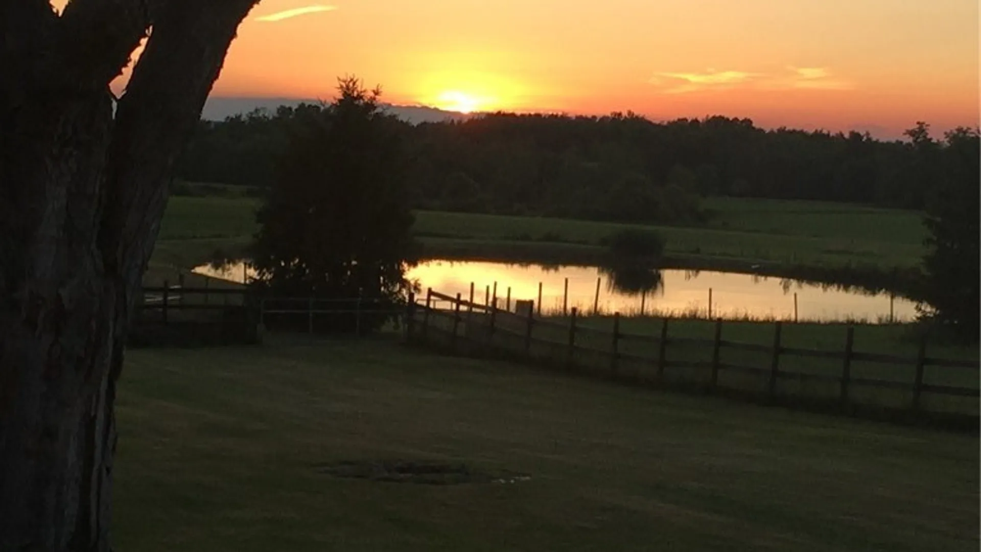 Property at 7288 Center Road, Colden, NY 14170 46