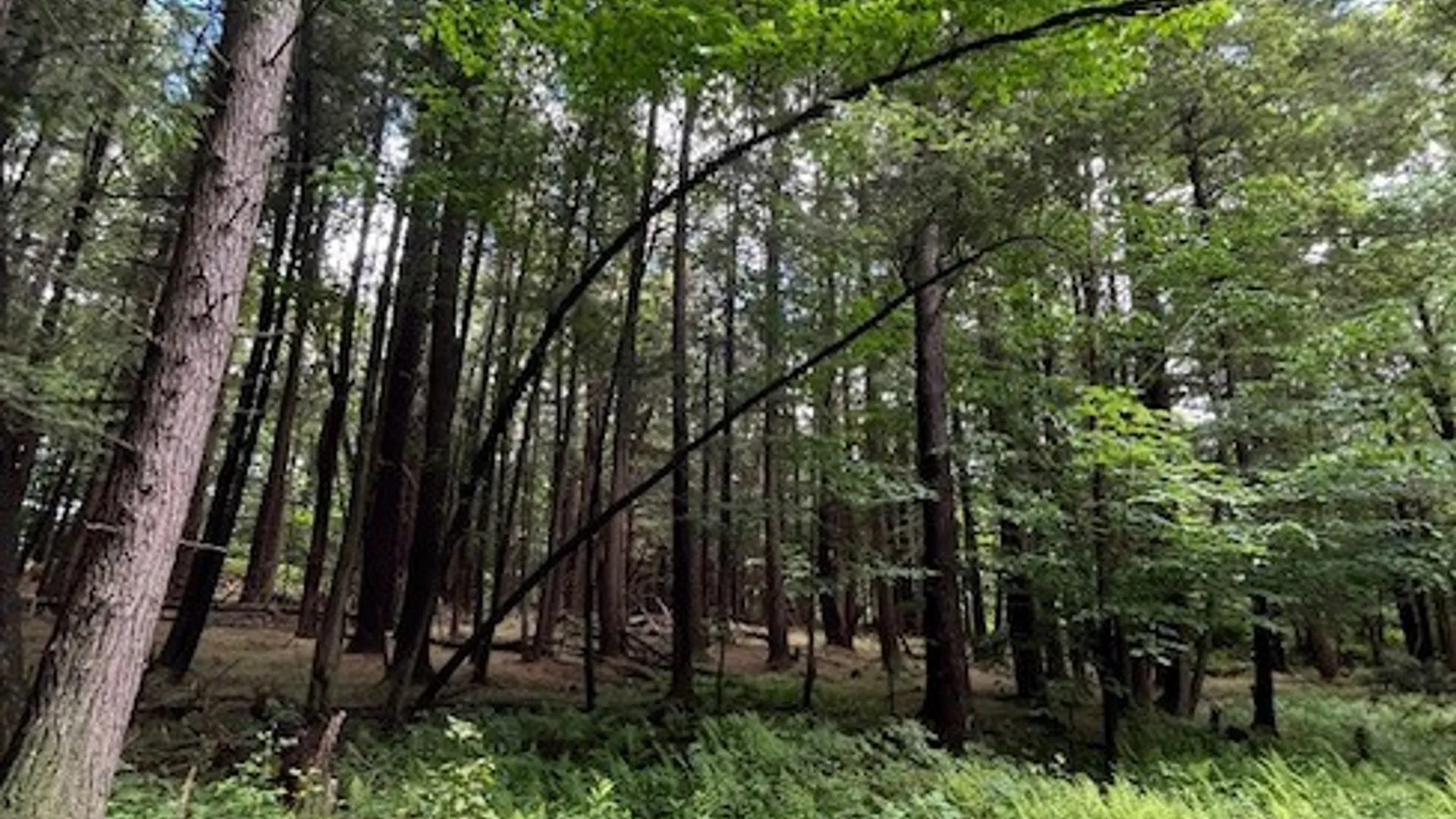 Property at 0 Hill Road, Danby, NY 14850 10