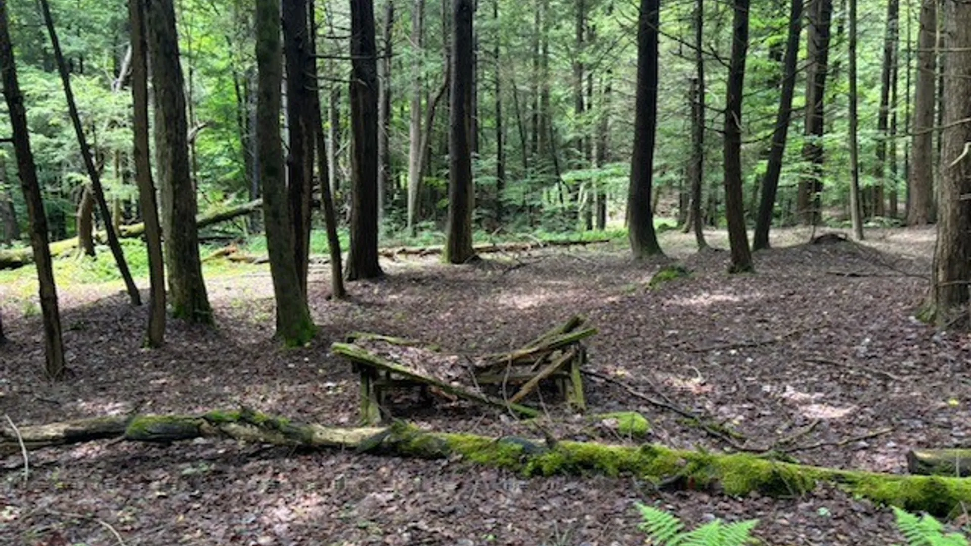 Property at 0 Hill Road, Danby, NY 14850 2