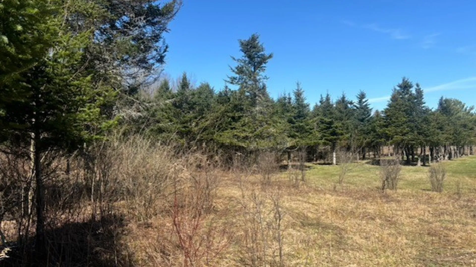 Property at 0 Hill Road, Danby, NY 14850 4