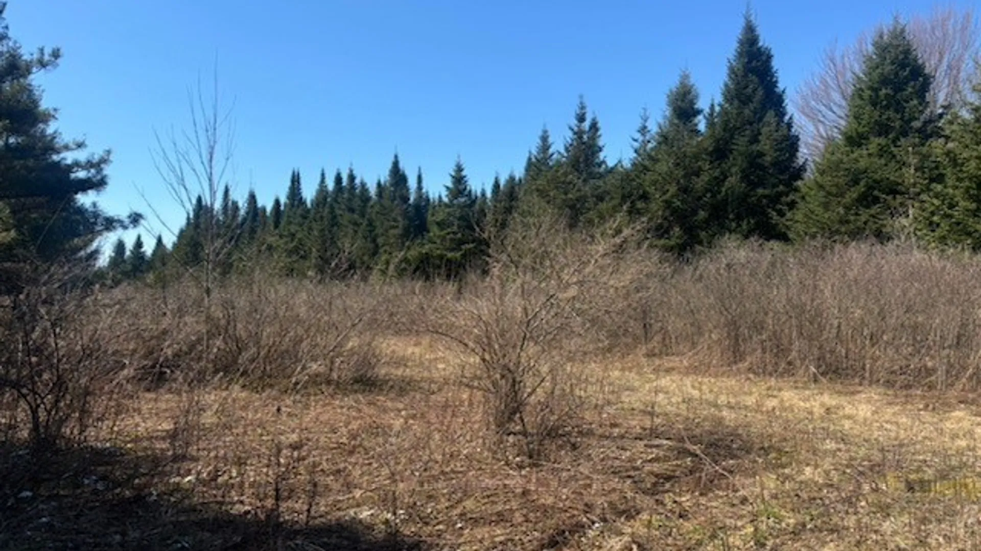 Property at 0 Hill Road, Danby, NY 14850 5