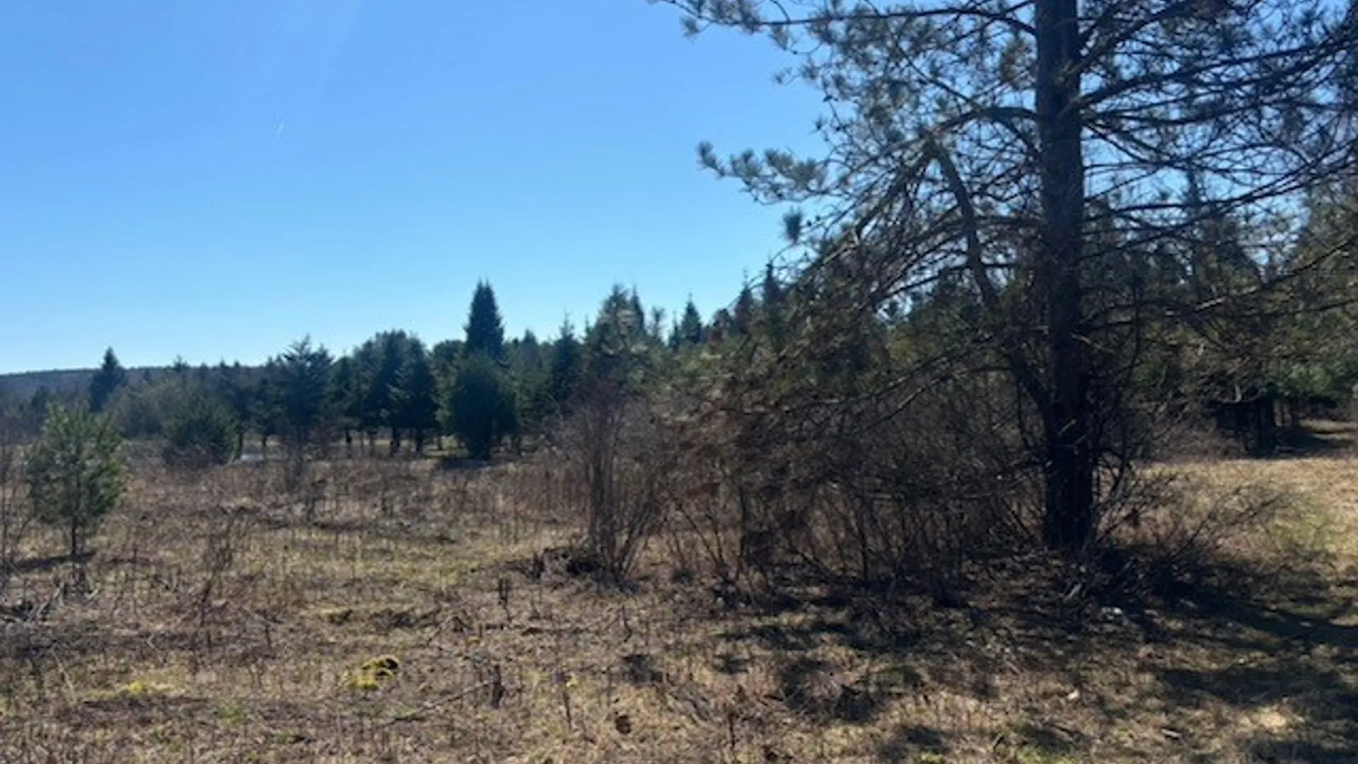 Property at 0 Hill Road, Danby, NY 14850 6