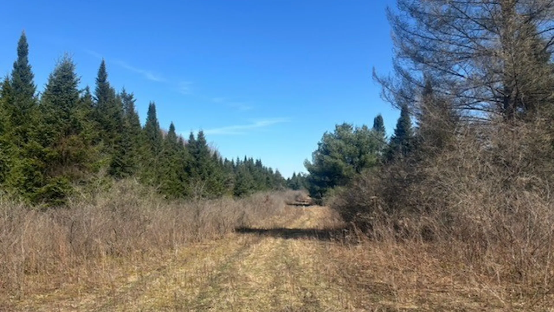 Property at 0 Hill Road, Danby, NY 14850 8