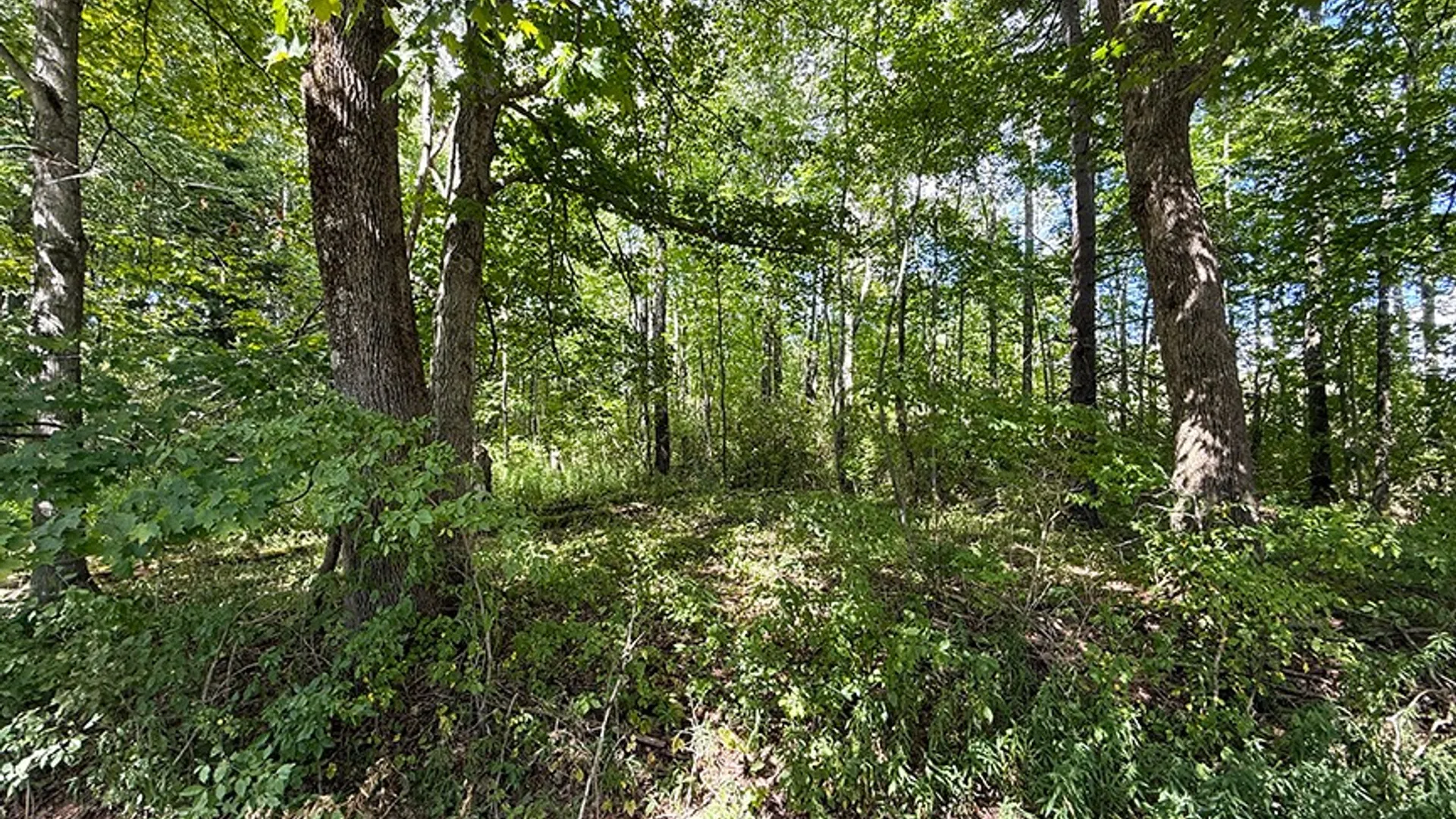 Property at L 40.09 Armstrong Rd, Cooperstown, NY 13326 2