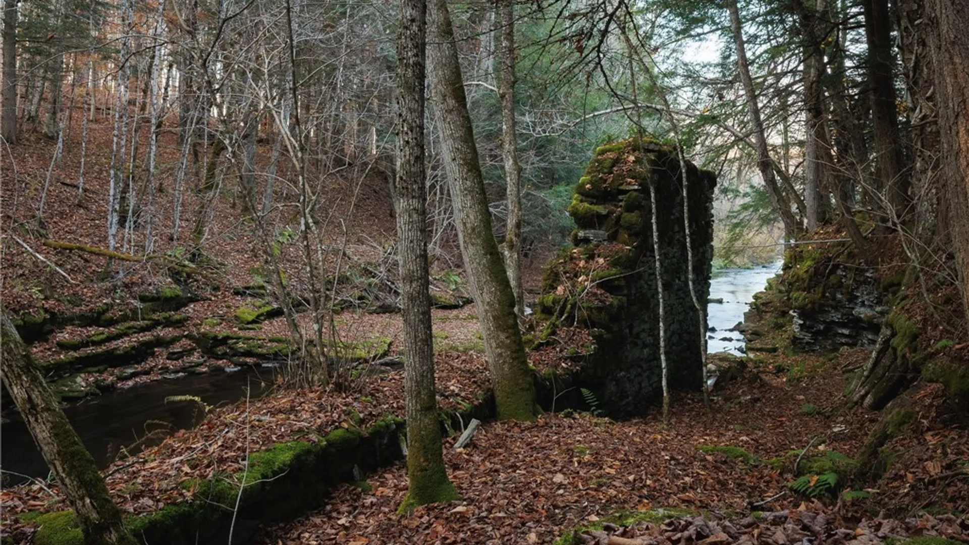 Property at 3421 Devoe Road, Boonville, NY 13309 47