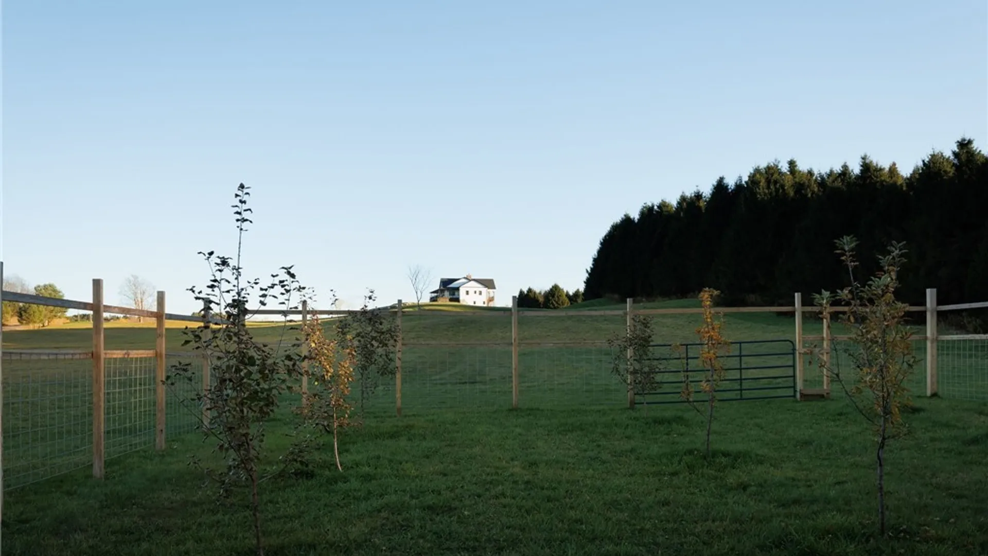 Property at 3421 Devoe Road, Boonville, NY 13309 48