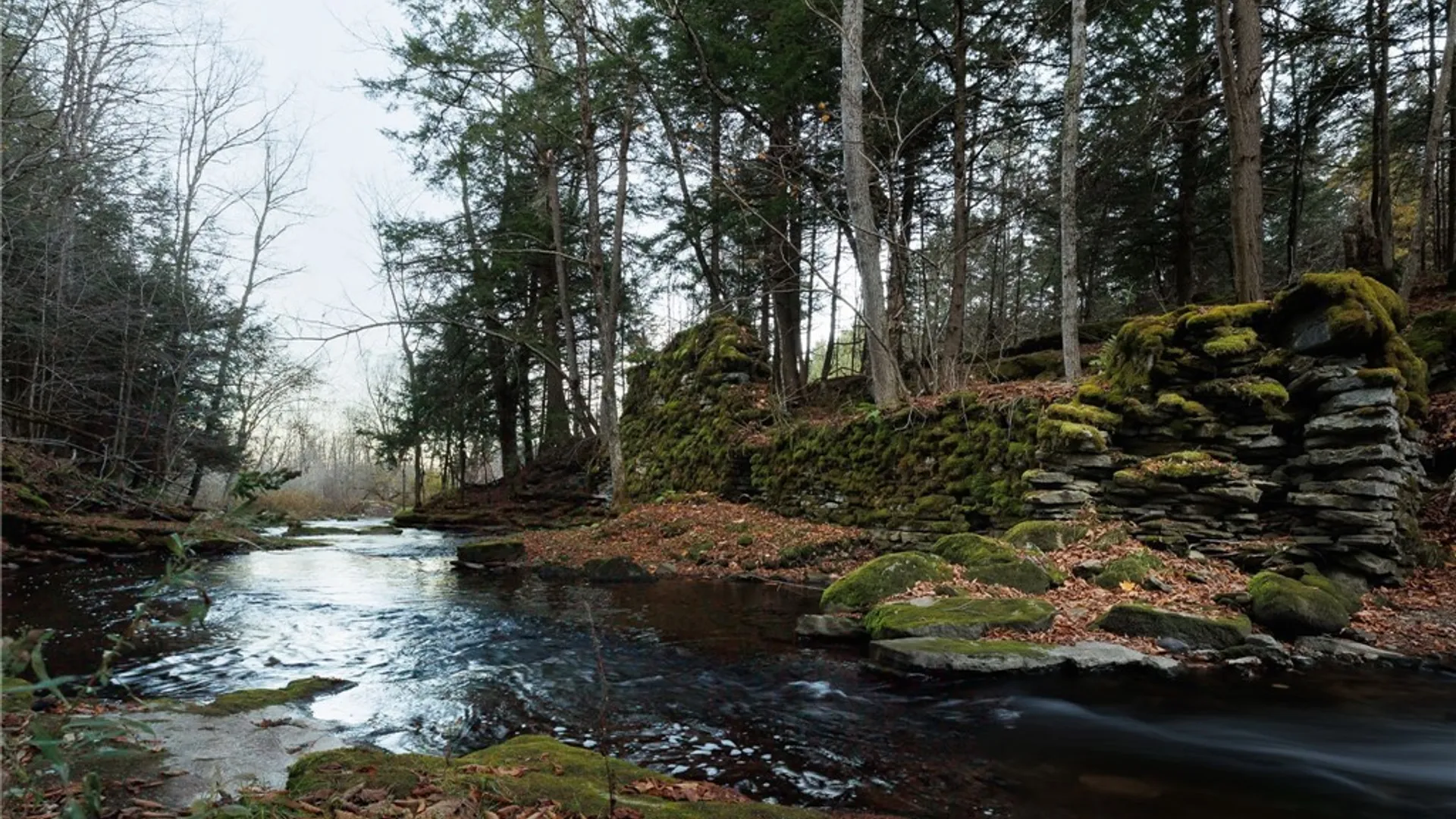 Property at 3421 Devoe Road, Boonville, NY 13309 49