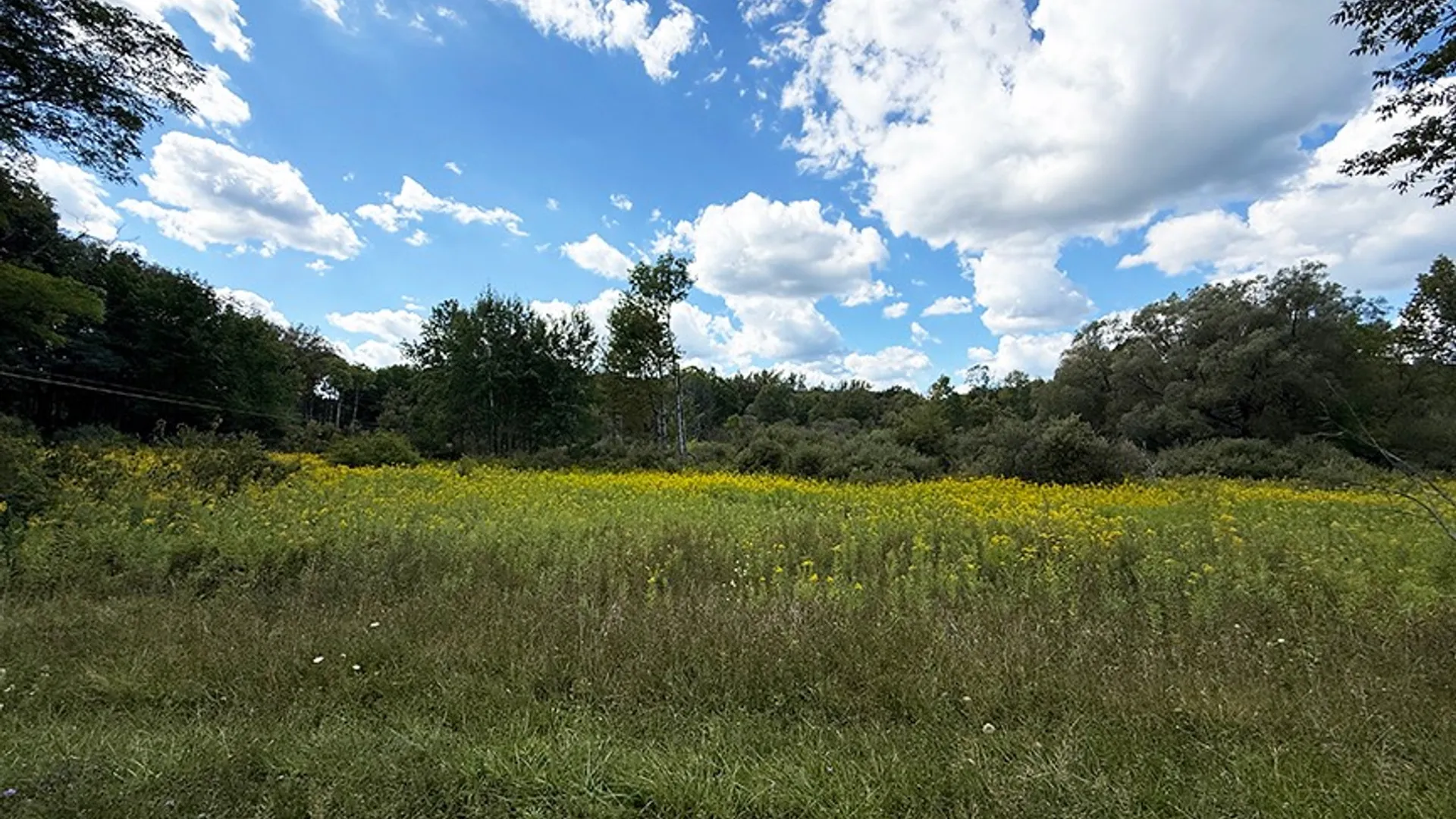 Property at L 40.11 Armstrong Rd & Co Hwy 28, Cooperstown, NY 13326 2