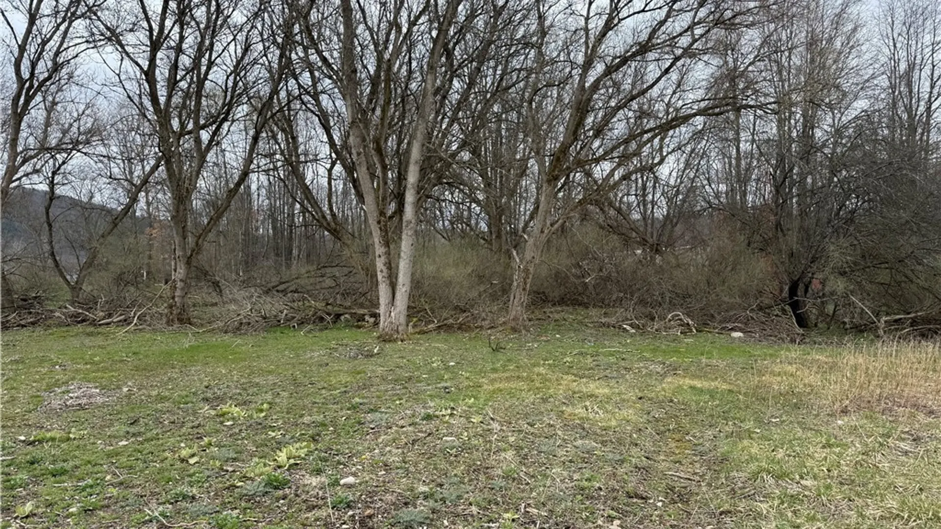 Property at 3153 State Street, Allegany, NY 14706 27