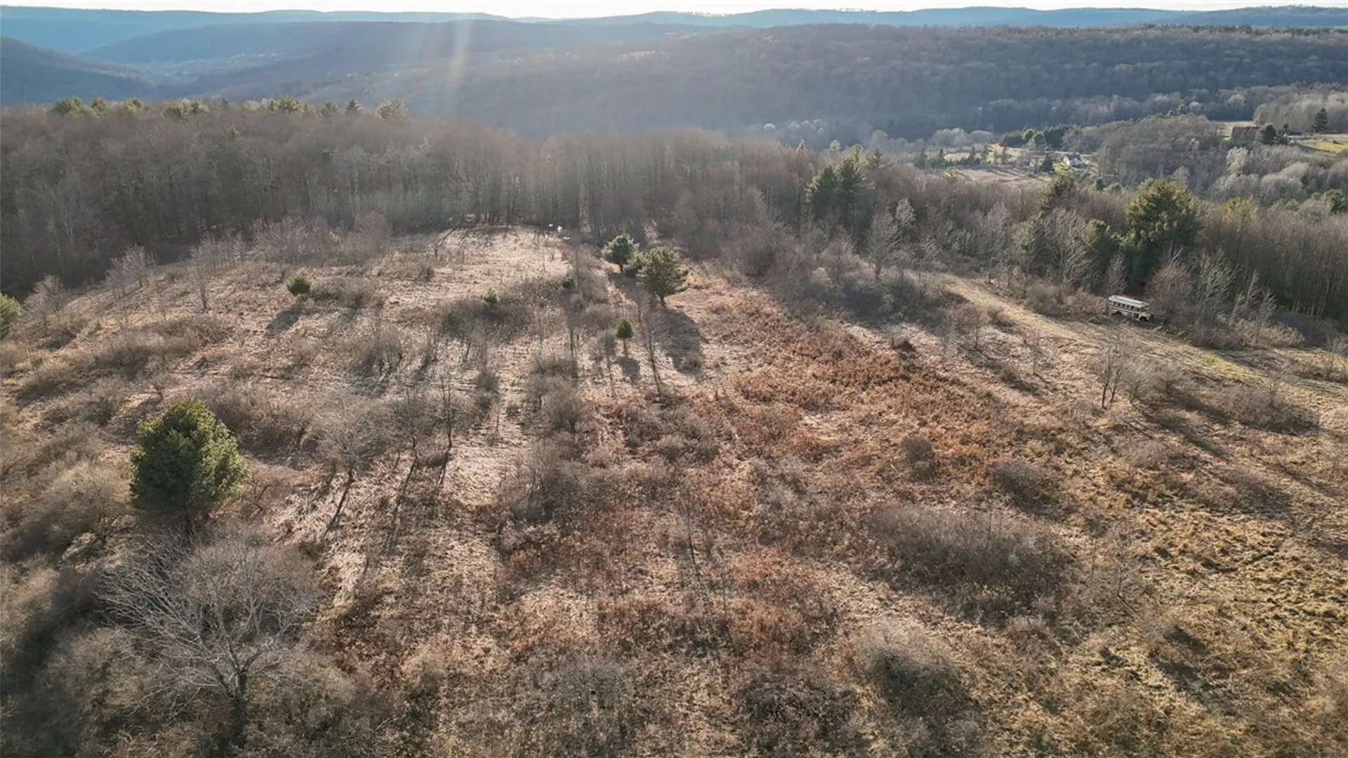 Property at 1015 Langford Creek Road, Van Etten, NY 14889 15