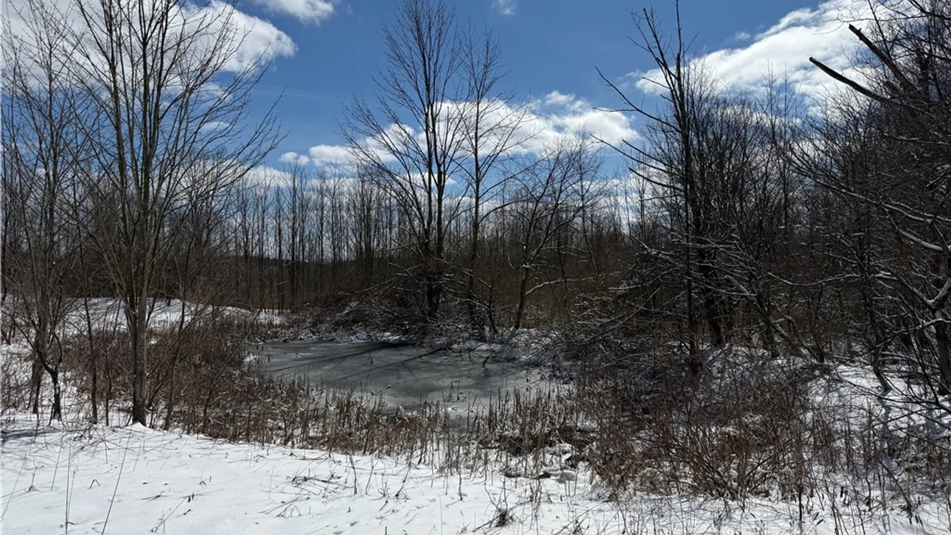 Property at 1015 Langford Creek Road, Van Etten, NY 14889 17
