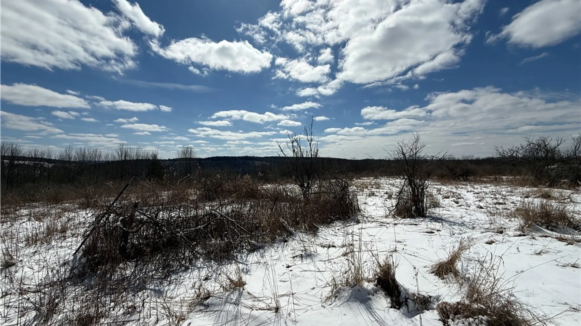 Property at 1015 Langford Creek Road, Van Etten, NY 14889 43