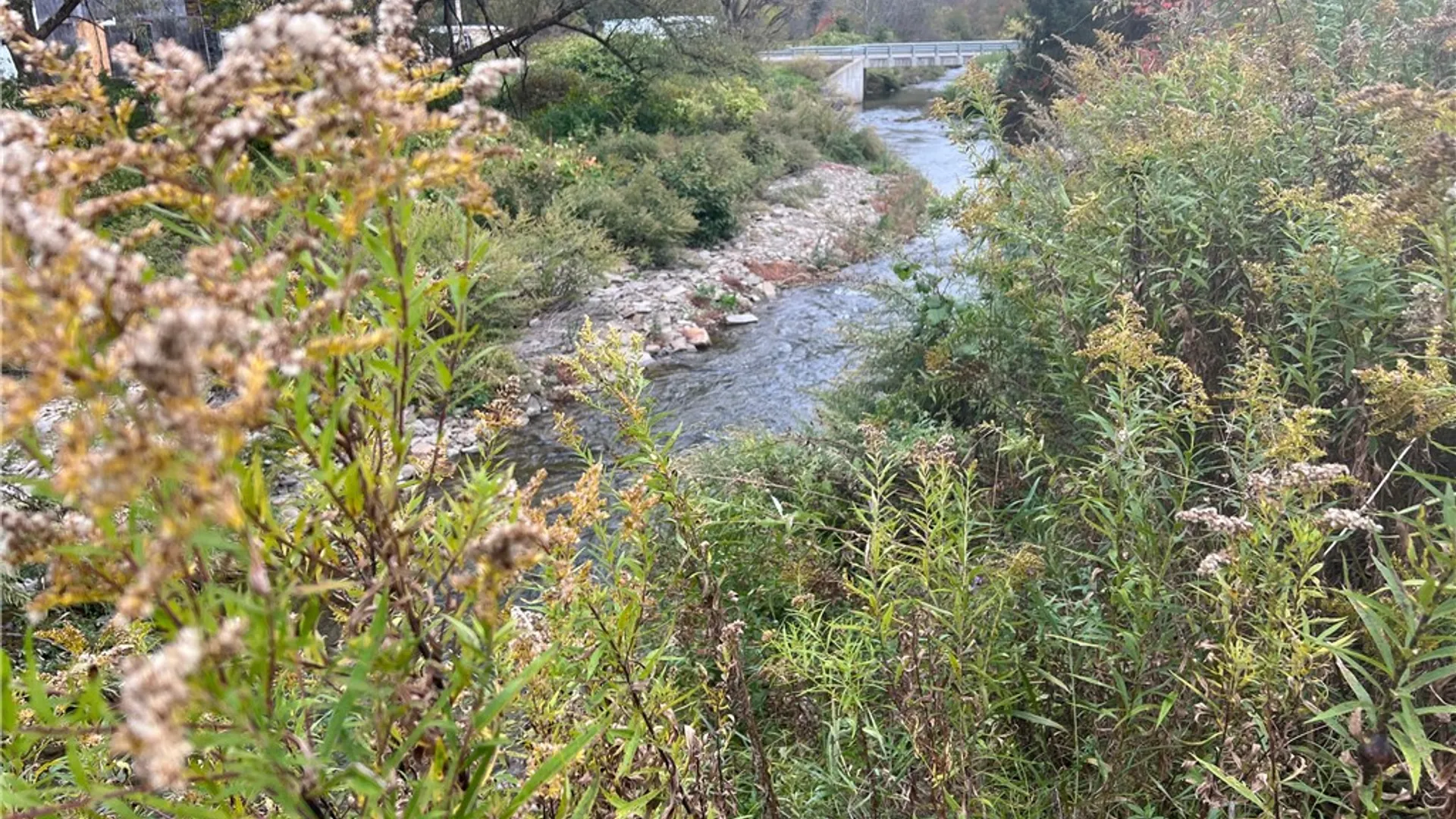 Property at 183 County Road 17, Afton, NY 13730 46