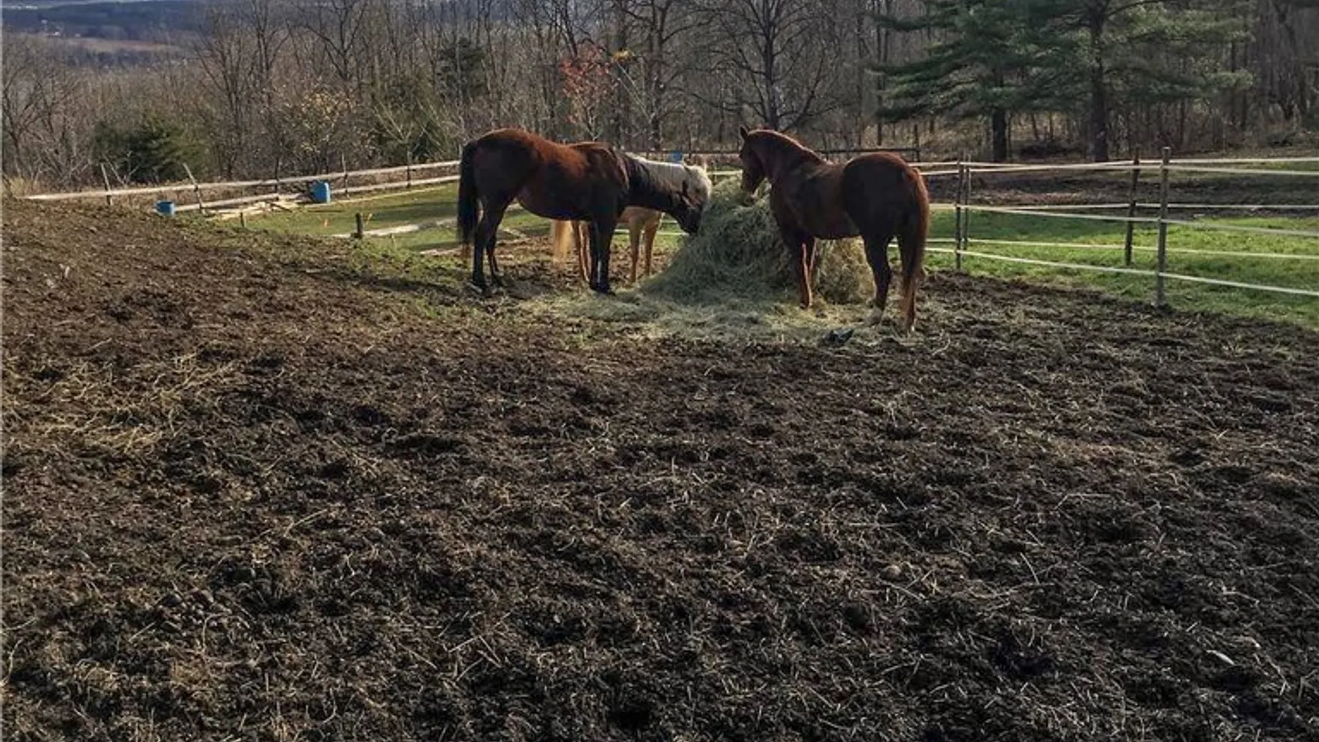 Property at 2867 Merritt Hill Road, Jerusalem, NY 14527 28