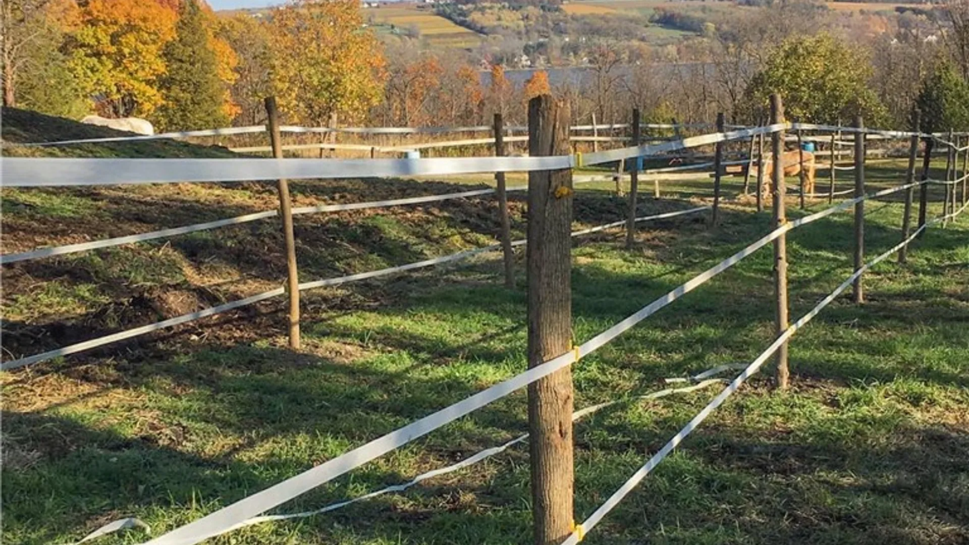 Property at 2867 Merritt Hill Road, Jerusalem, NY 14527 30