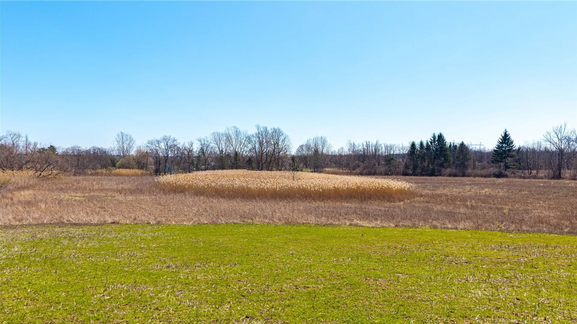 Property at 260 Bloomfield Road, Pittsford, NY 14534 2