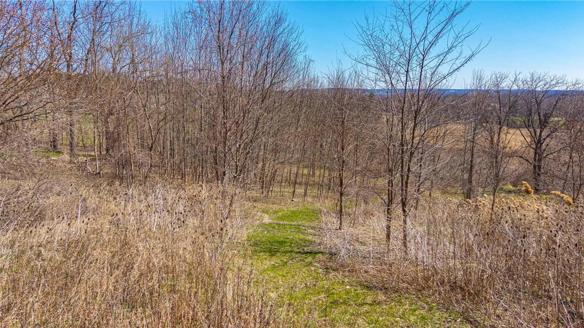 Property at 260 Bloomfield Road, Pittsford, NY 14534 21