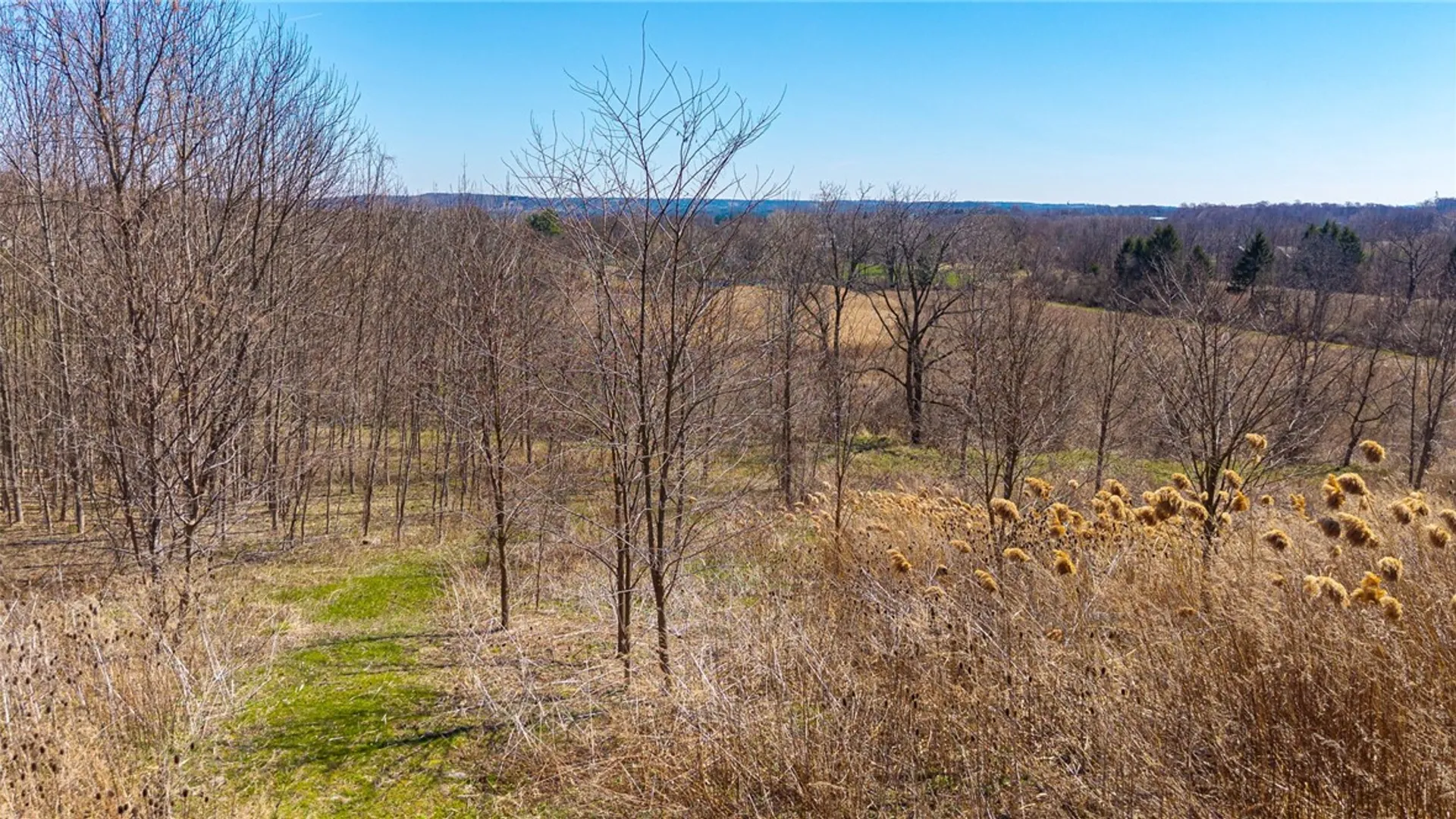 Property at 260 Bloomfield Road, Pittsford, NY 14534 22