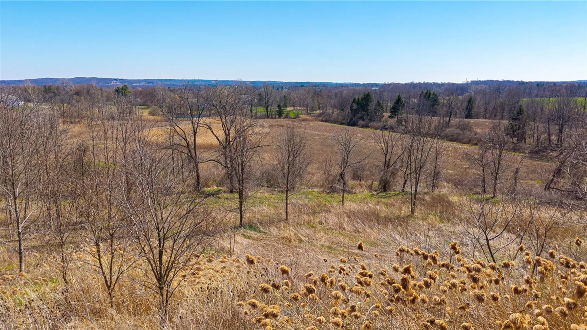 Property at 260 Bloomfield Road, Pittsford, NY 14534 23