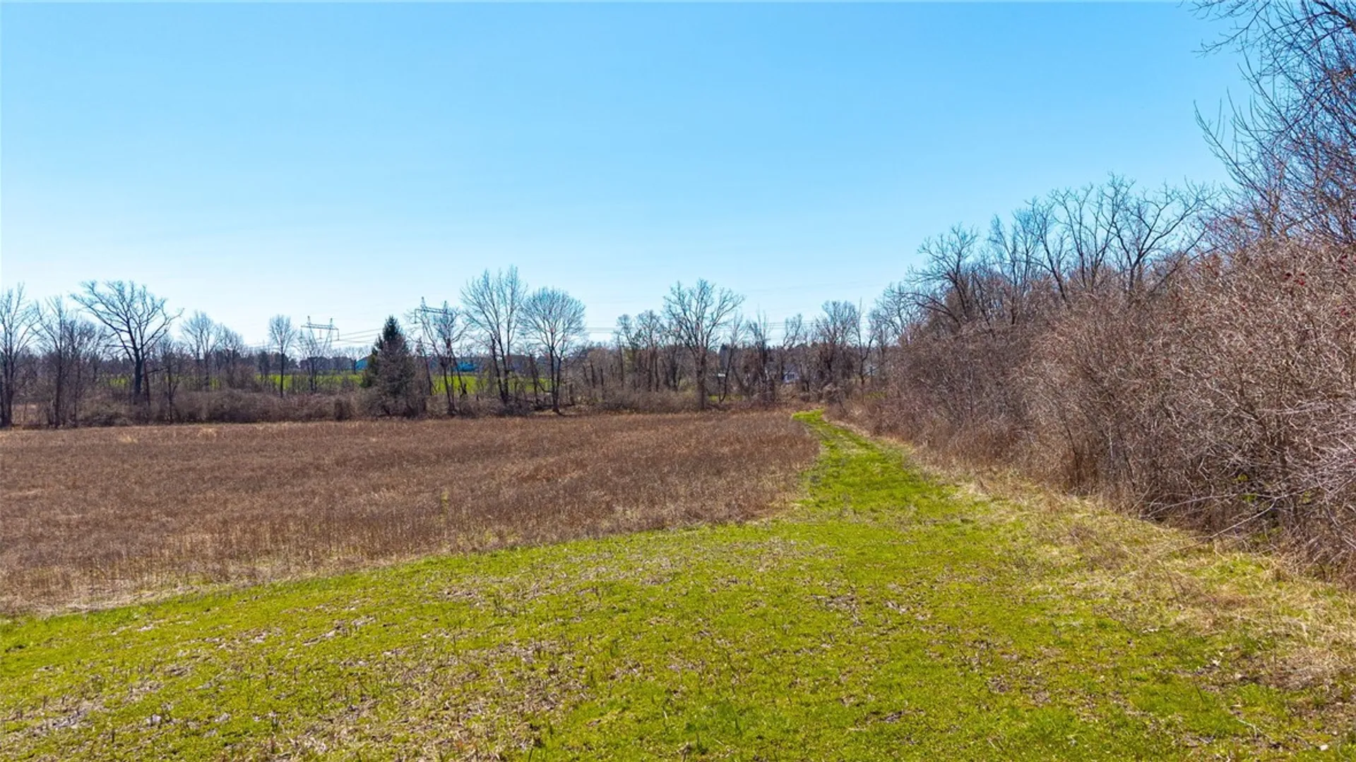 Property at 260 Bloomfield Road, Pittsford, NY 14534 3