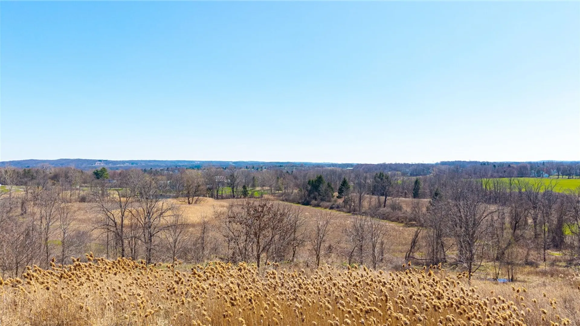 Property at 260 Bloomfield Road, Pittsford, NY 14534 5