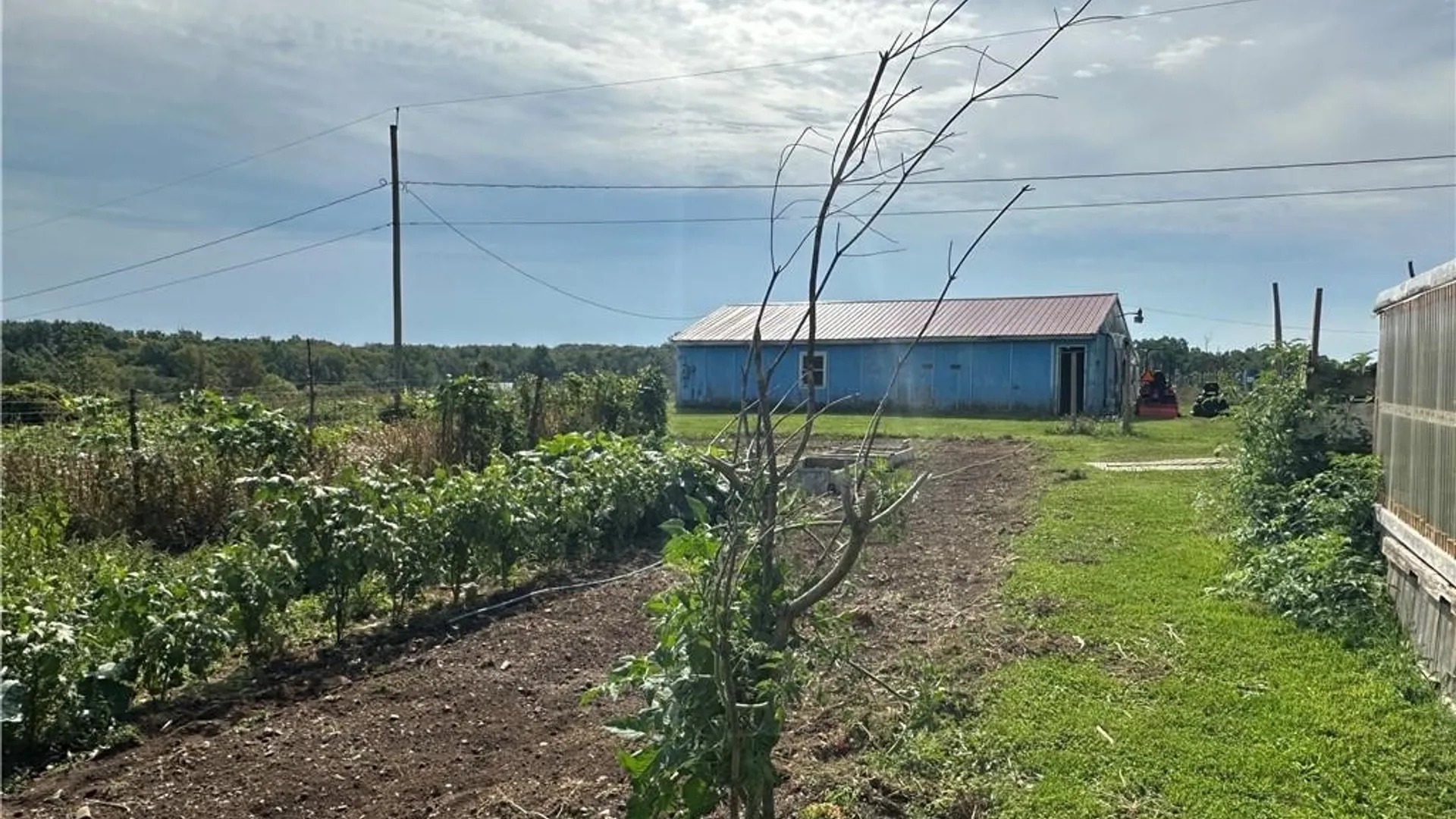 Property at 5516 Babbit Drive, Pike, NY 14536 23